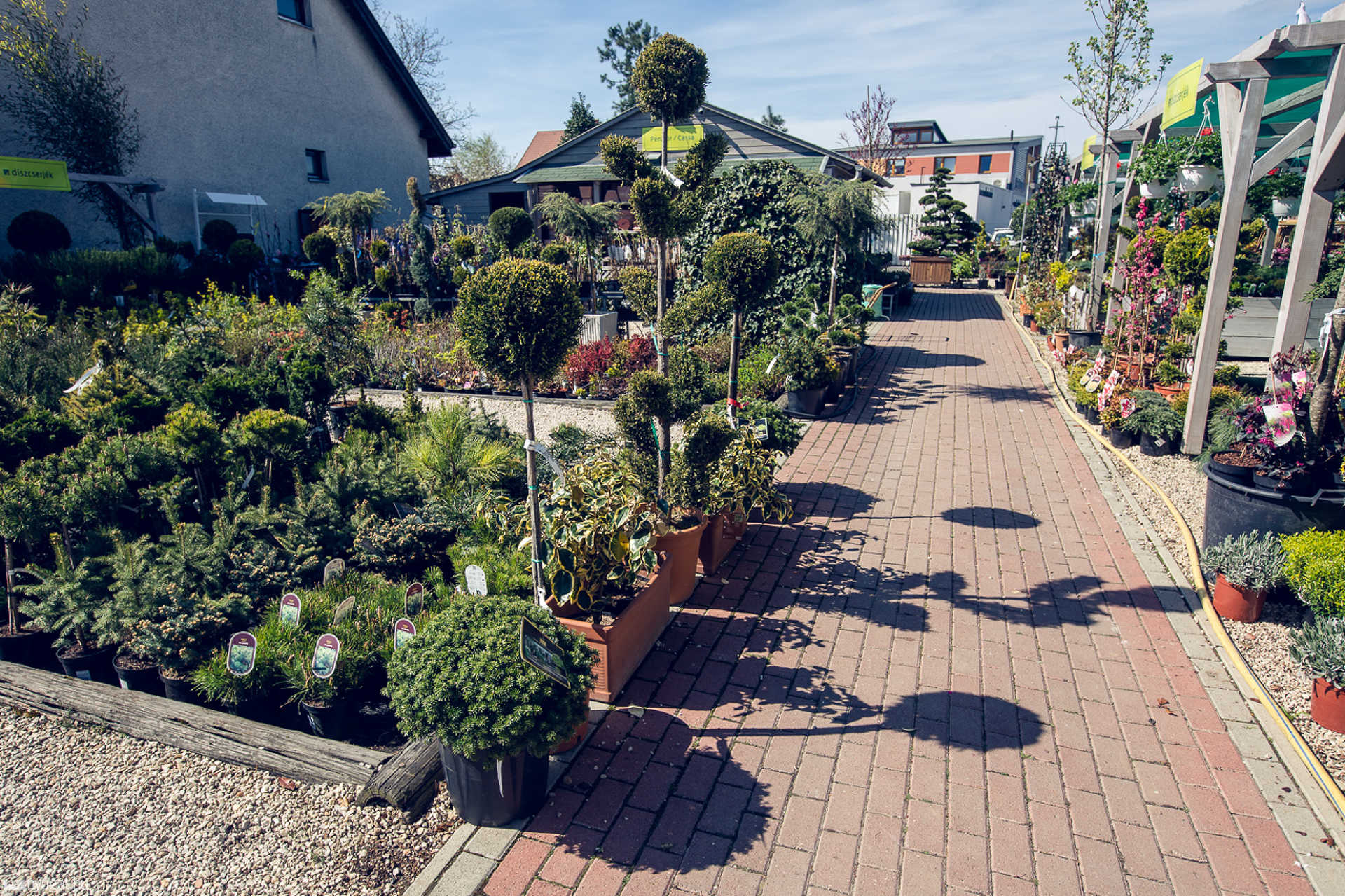 Örökzöld Kertészet