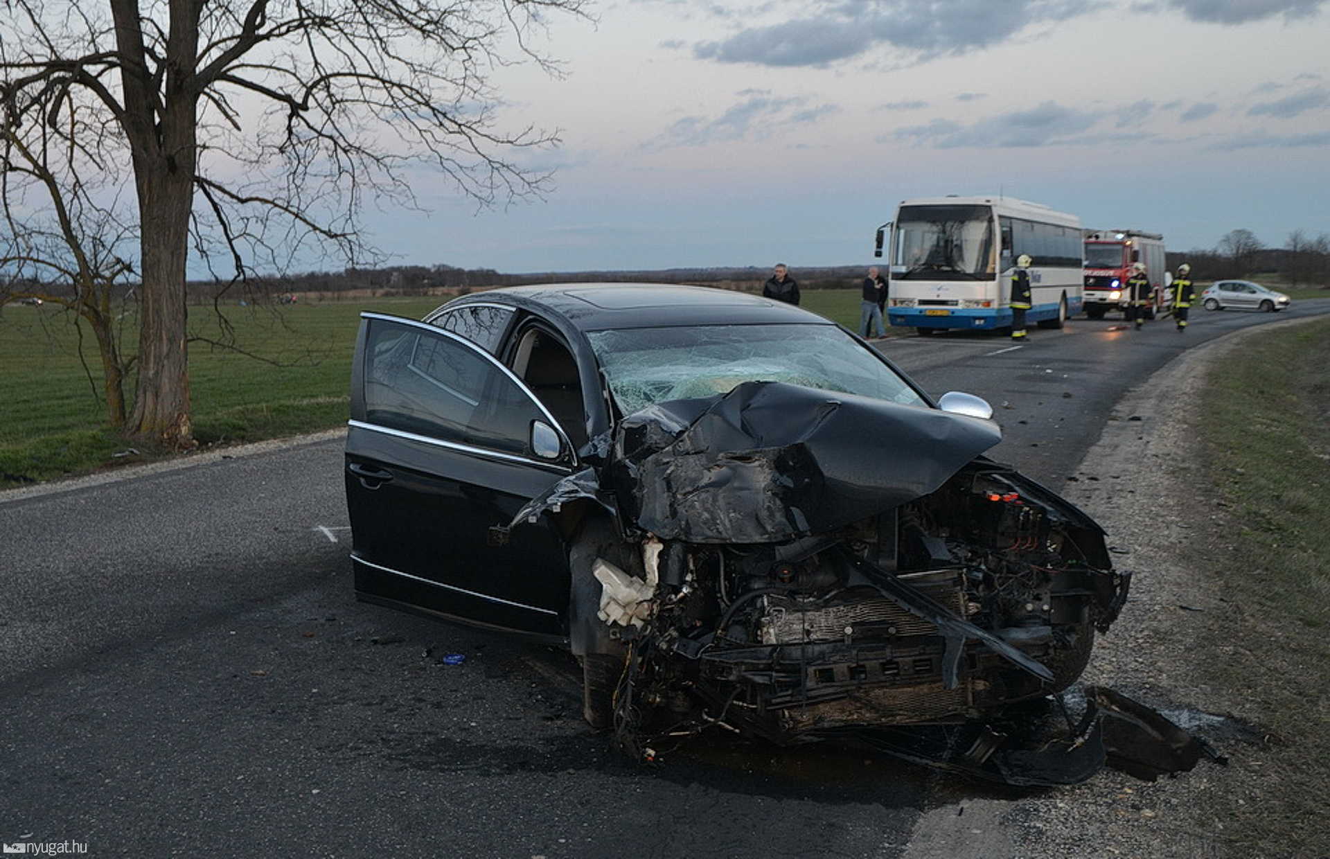 Fának csapódott a Passat a 87-es főúton