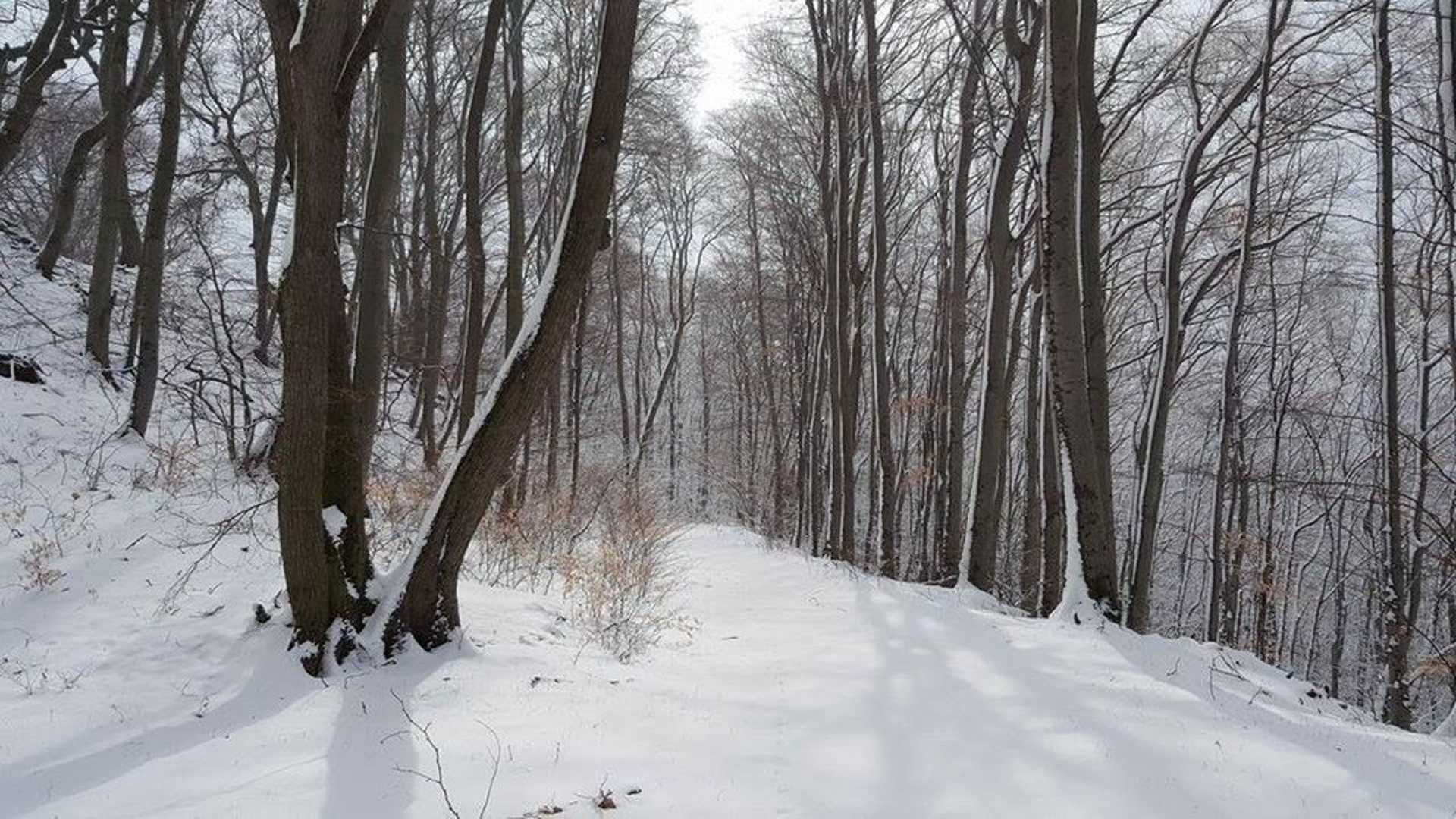 Márciusi tél a Kőszegi-hegységben