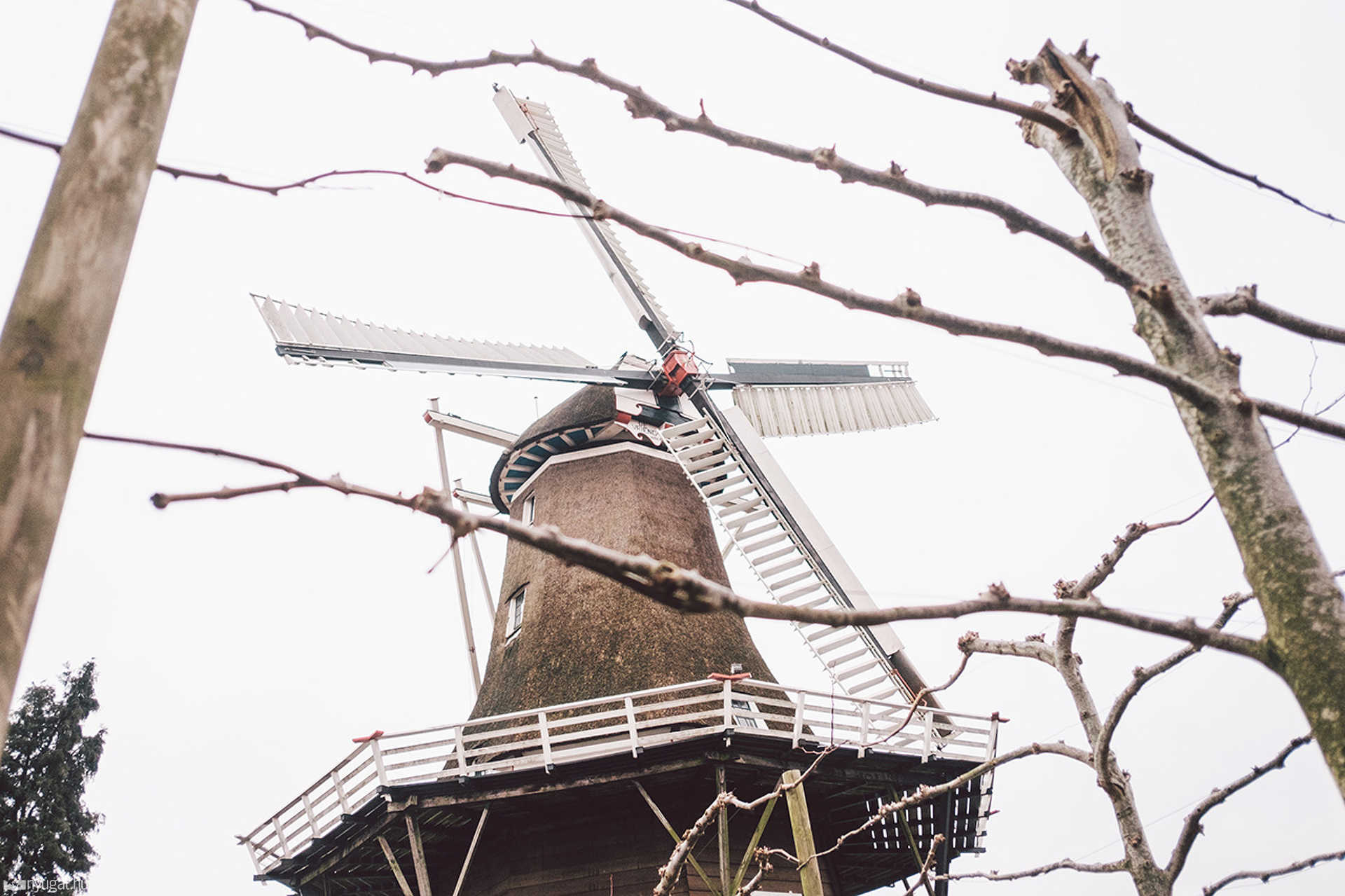 Hollandia