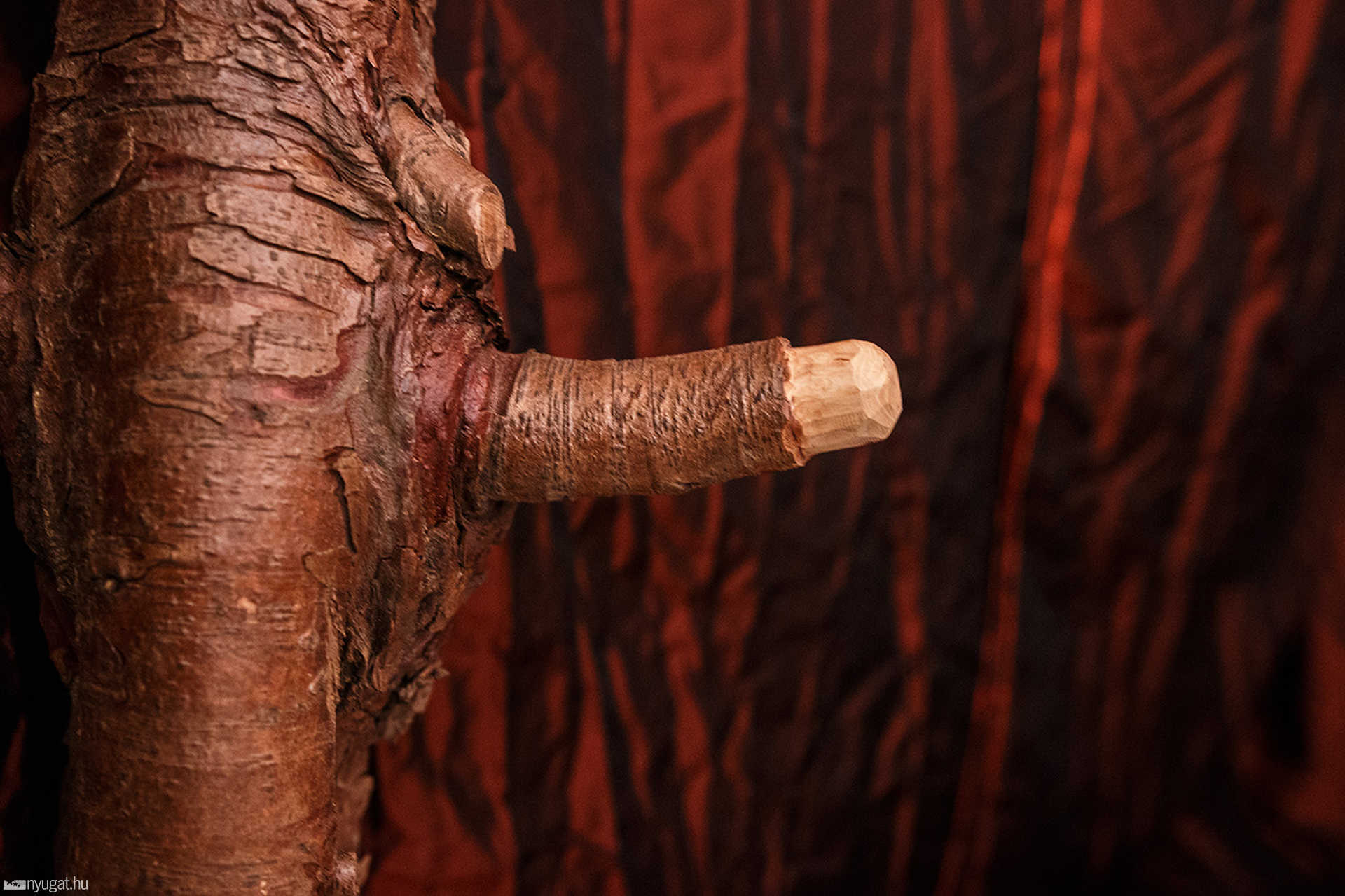 Favicc - kiállítás az arborétumban