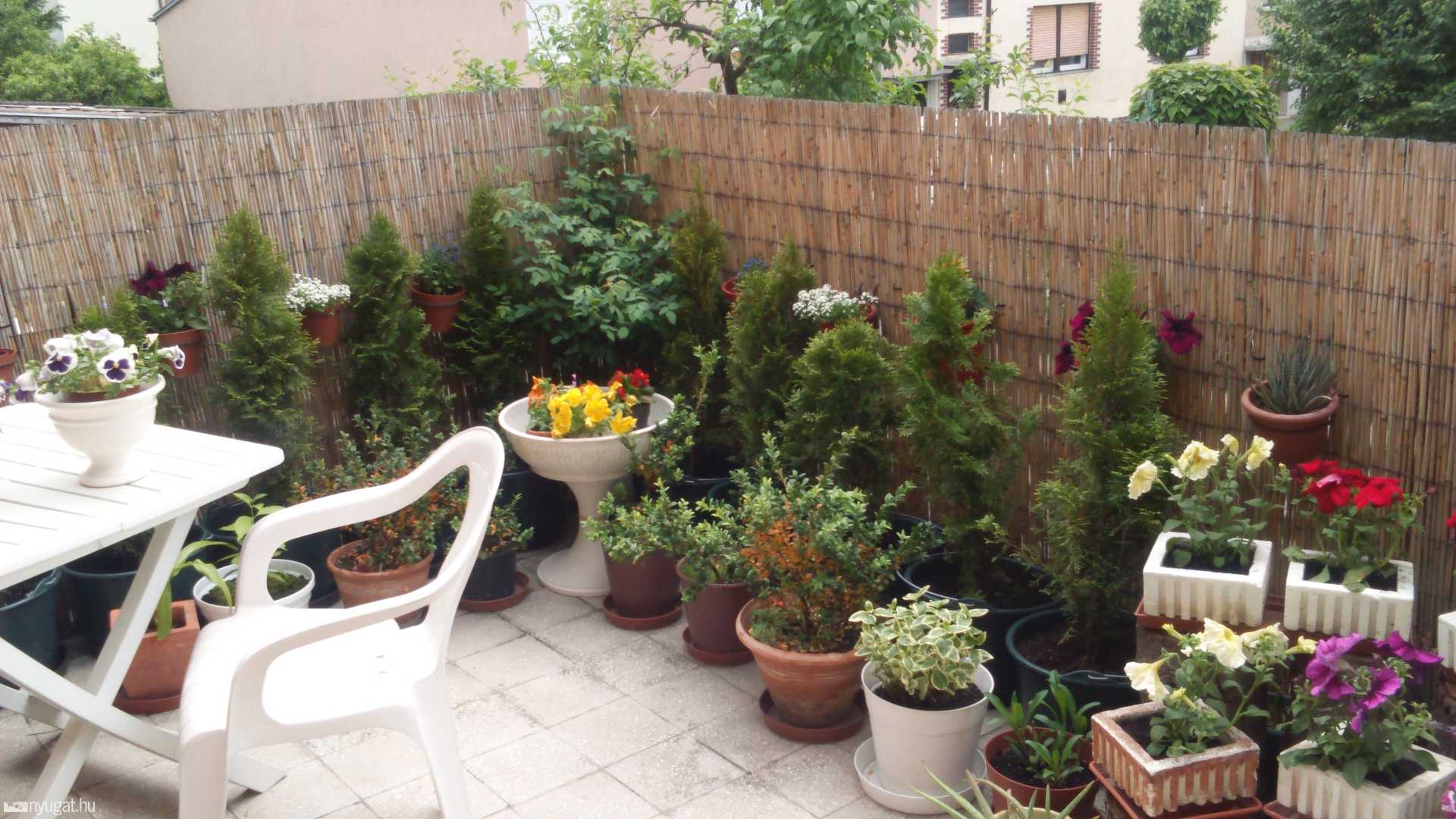 Felsőőr utcai társasház közös kertje