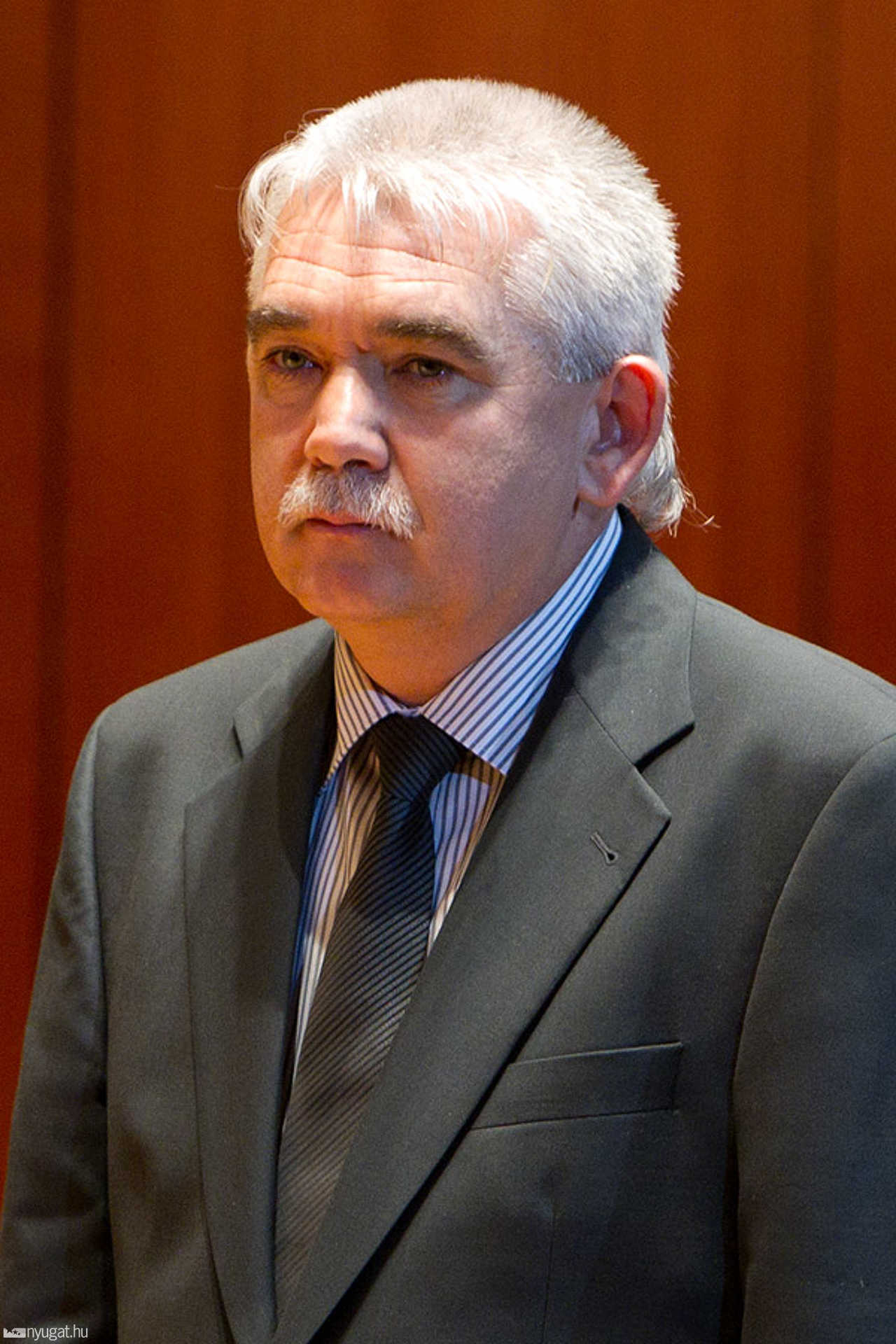 Hollósi Gábor