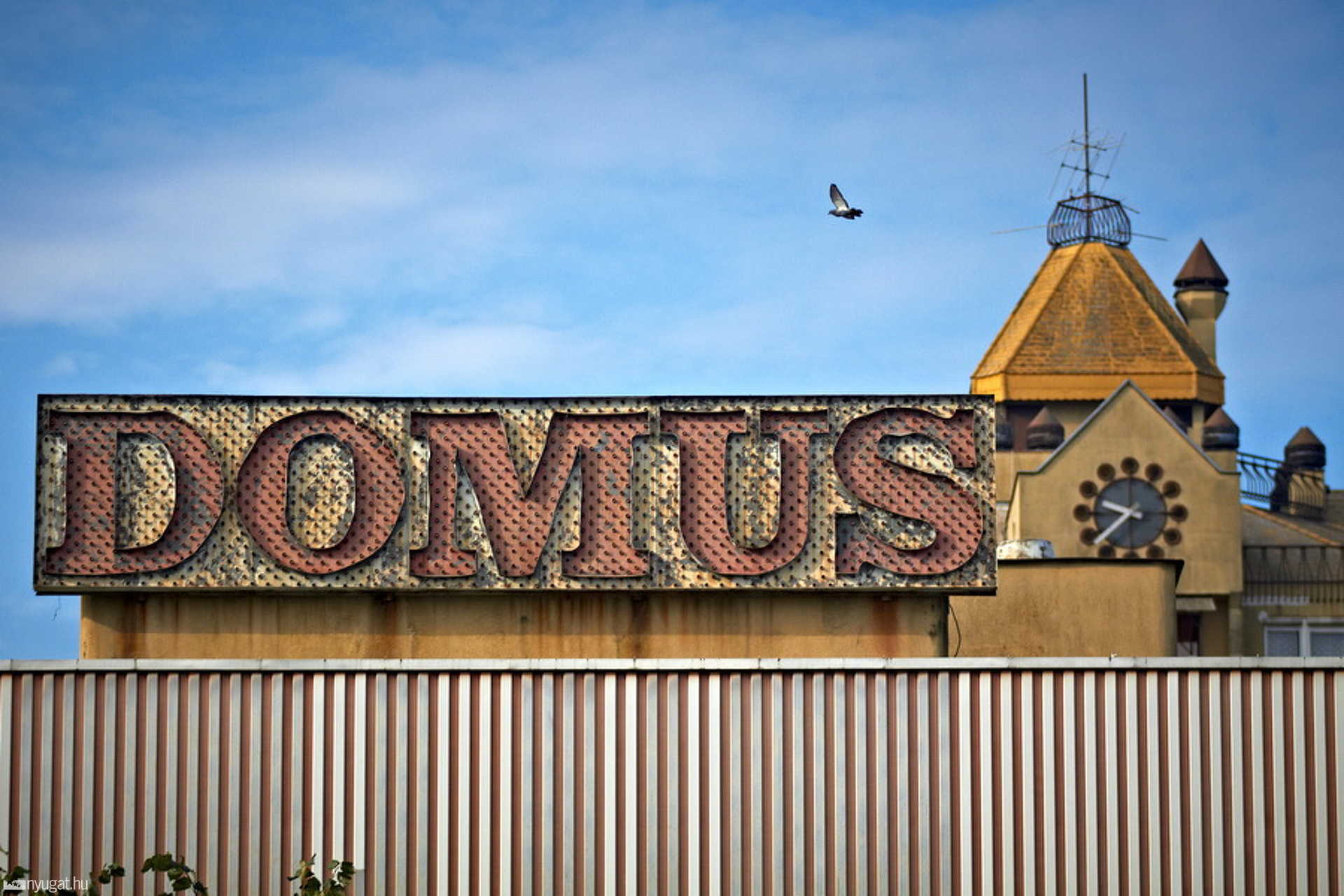 Domus