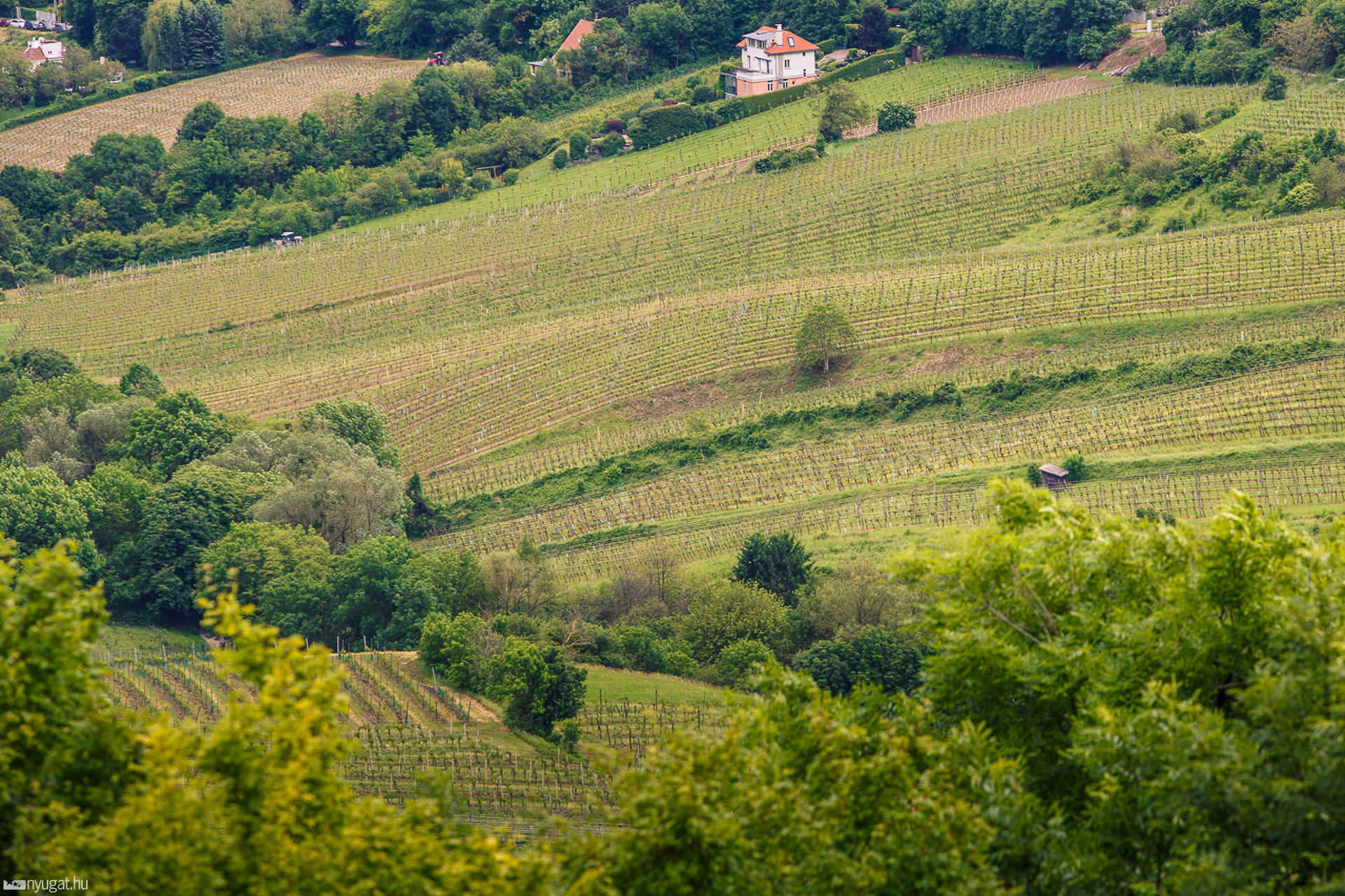 Bécsi panoráma: Kahlenberg
