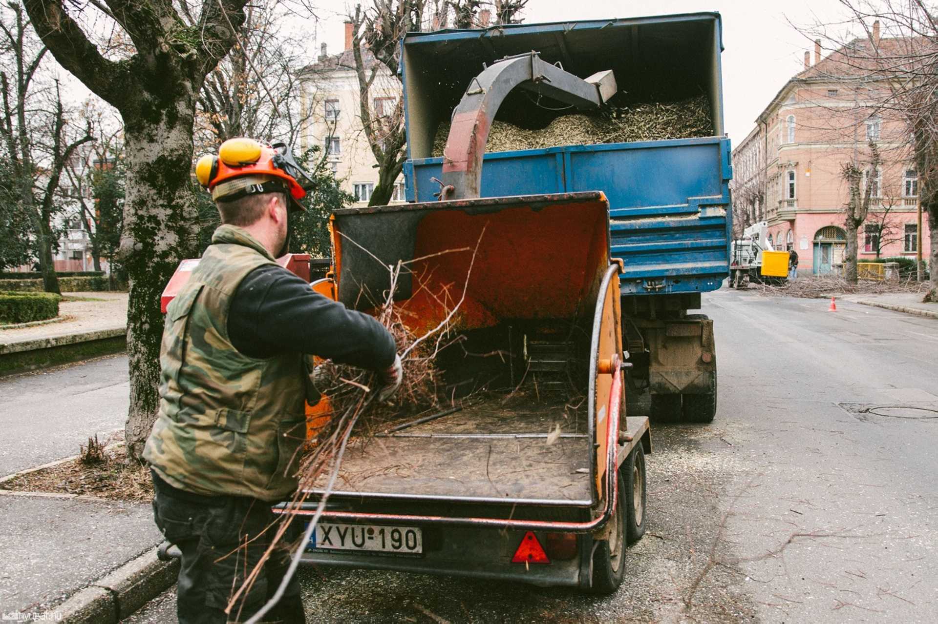Fametszés a Király és a Széll Kálmán utcában