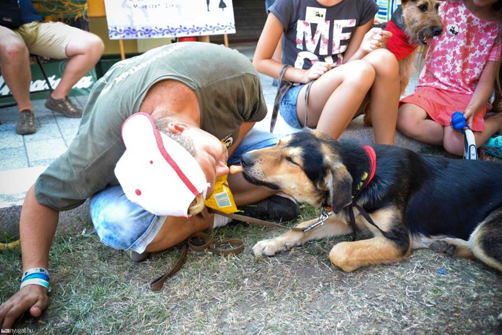 Guppi és Bendegúz