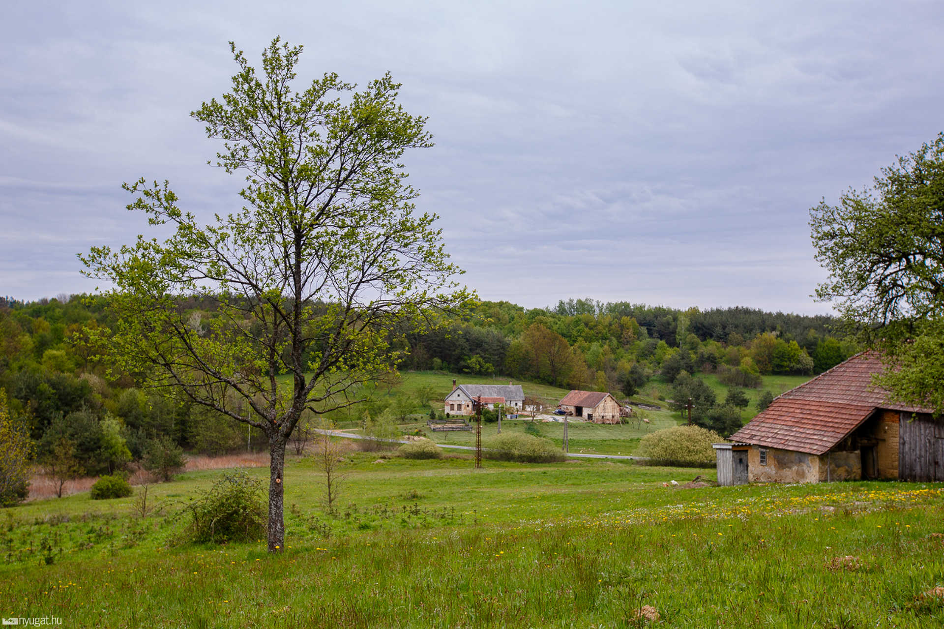 Hogyan lett országosan híres település Orfalu?