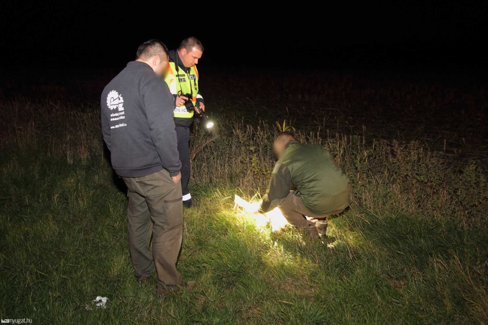 Vadat ütöttek el a 86-os úton Balogunyom közelében