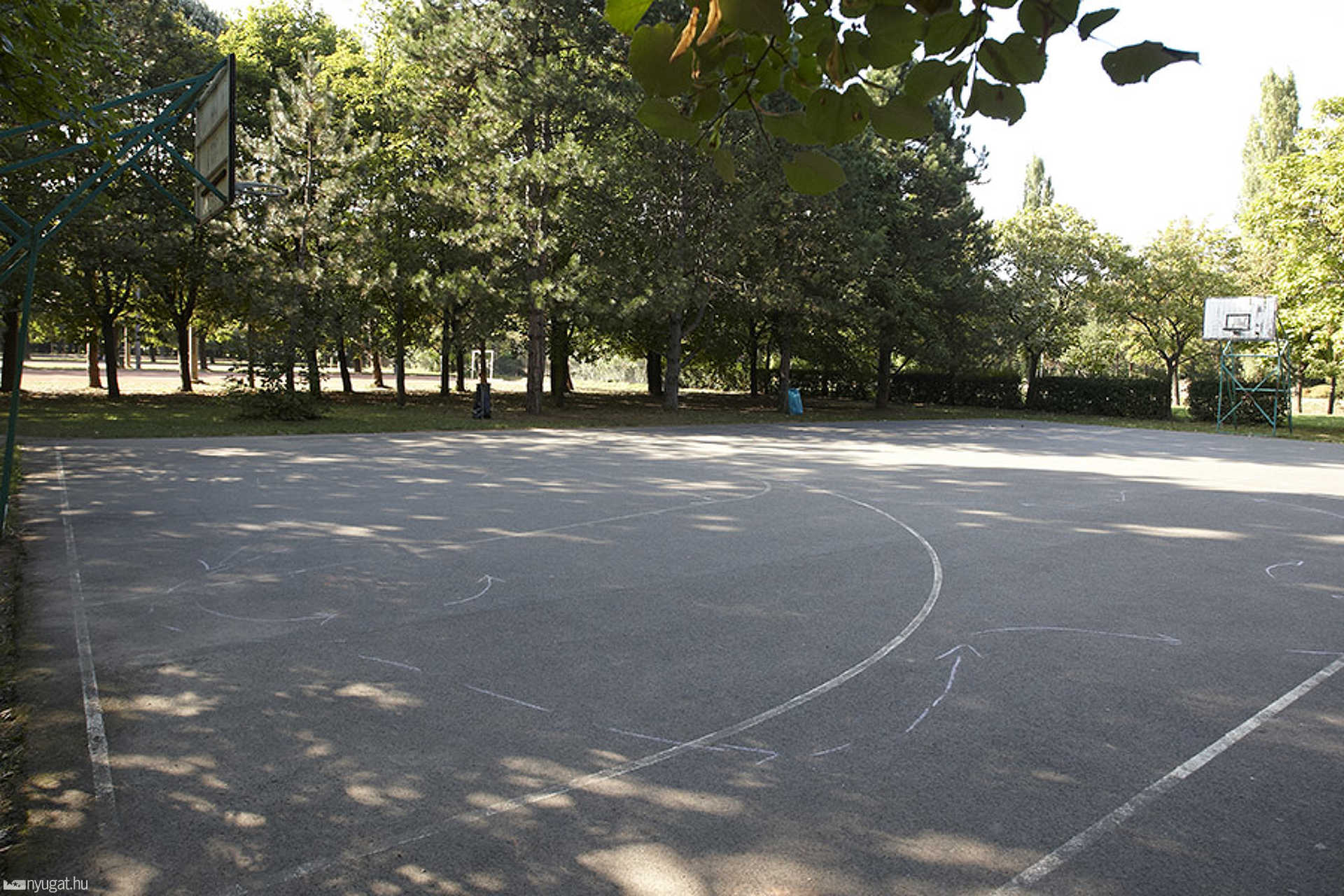 Sportliget
