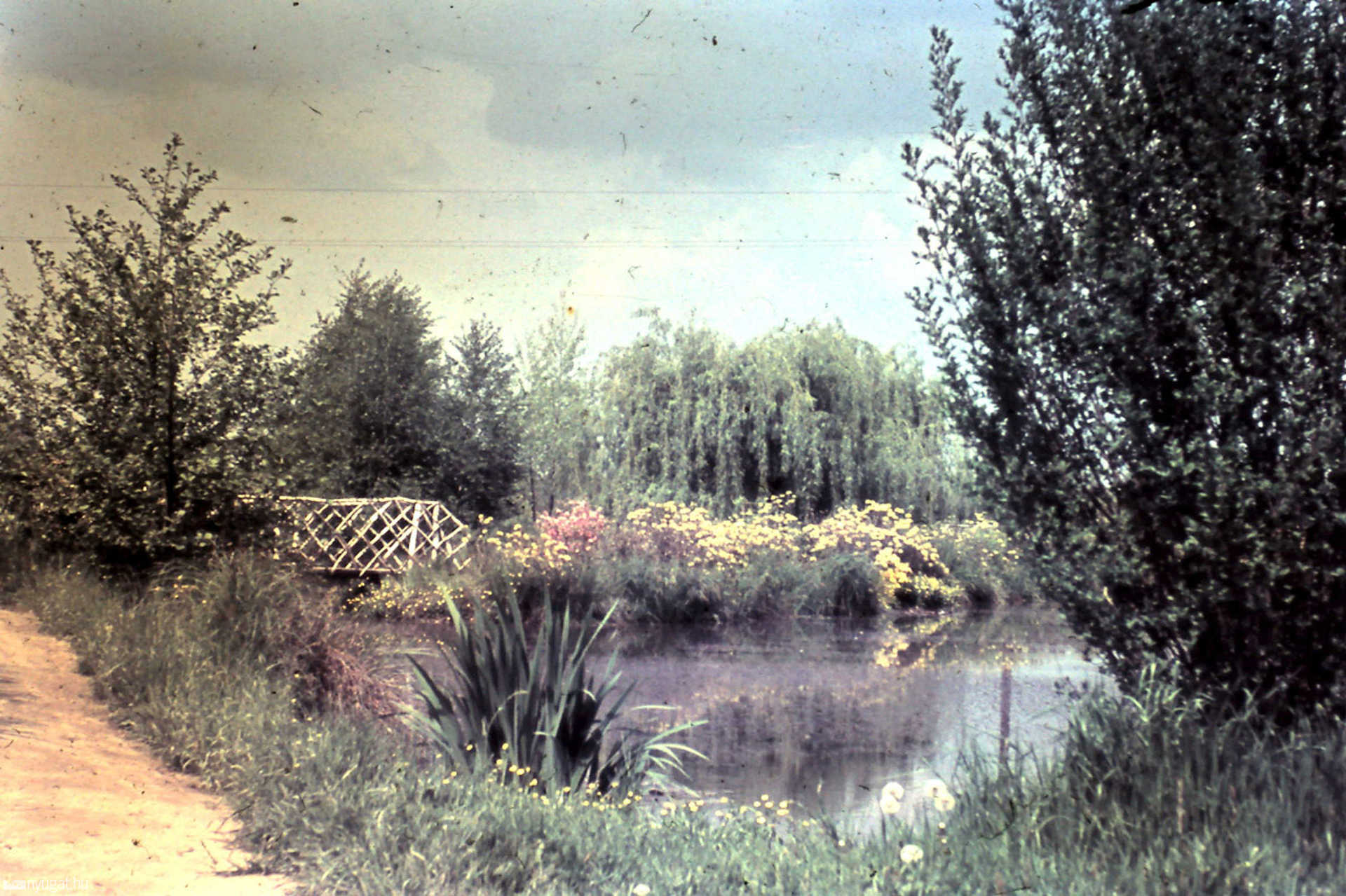 A rododendronos tó 1960 körül