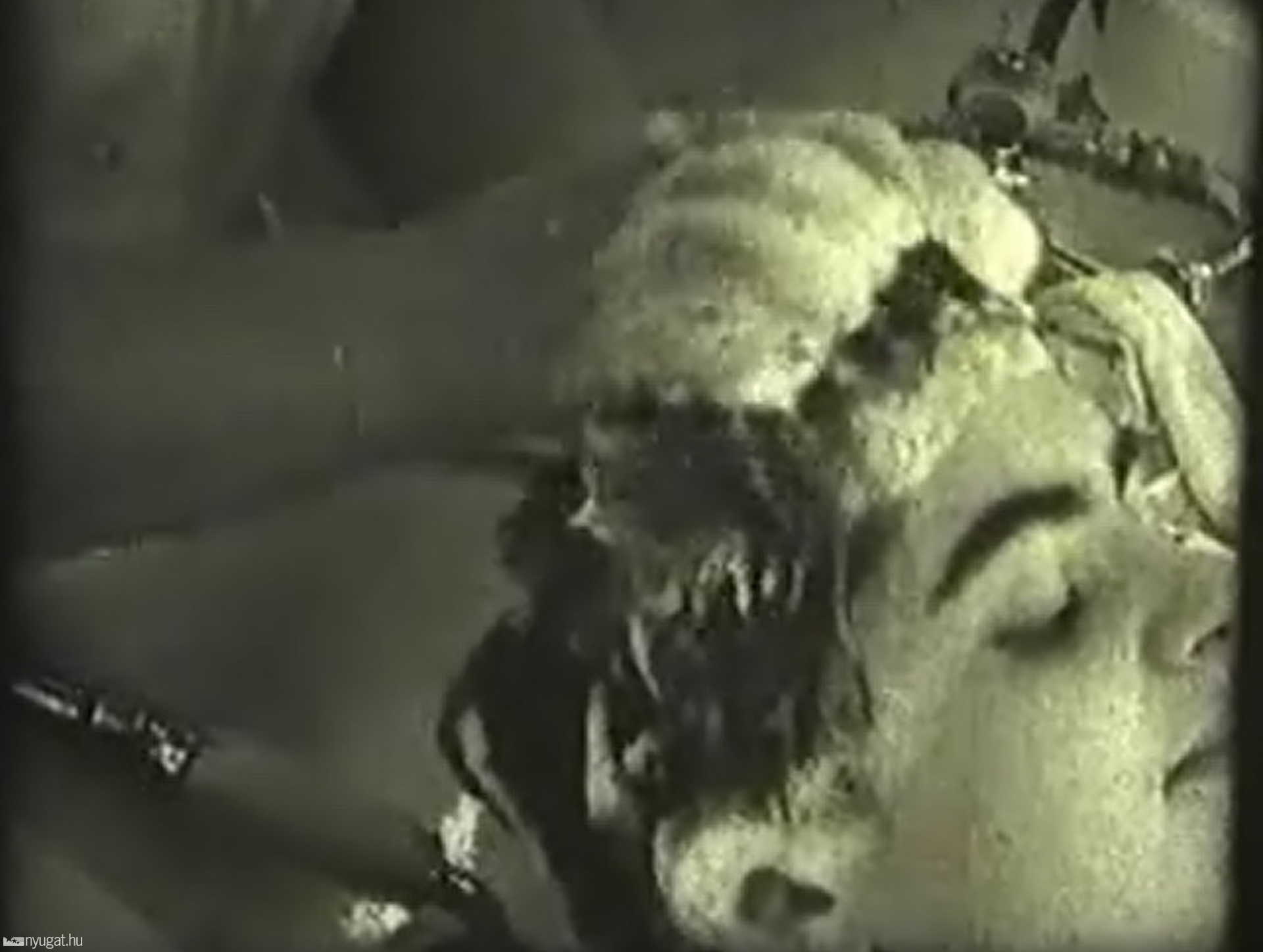 hajmosás, 1966-ban