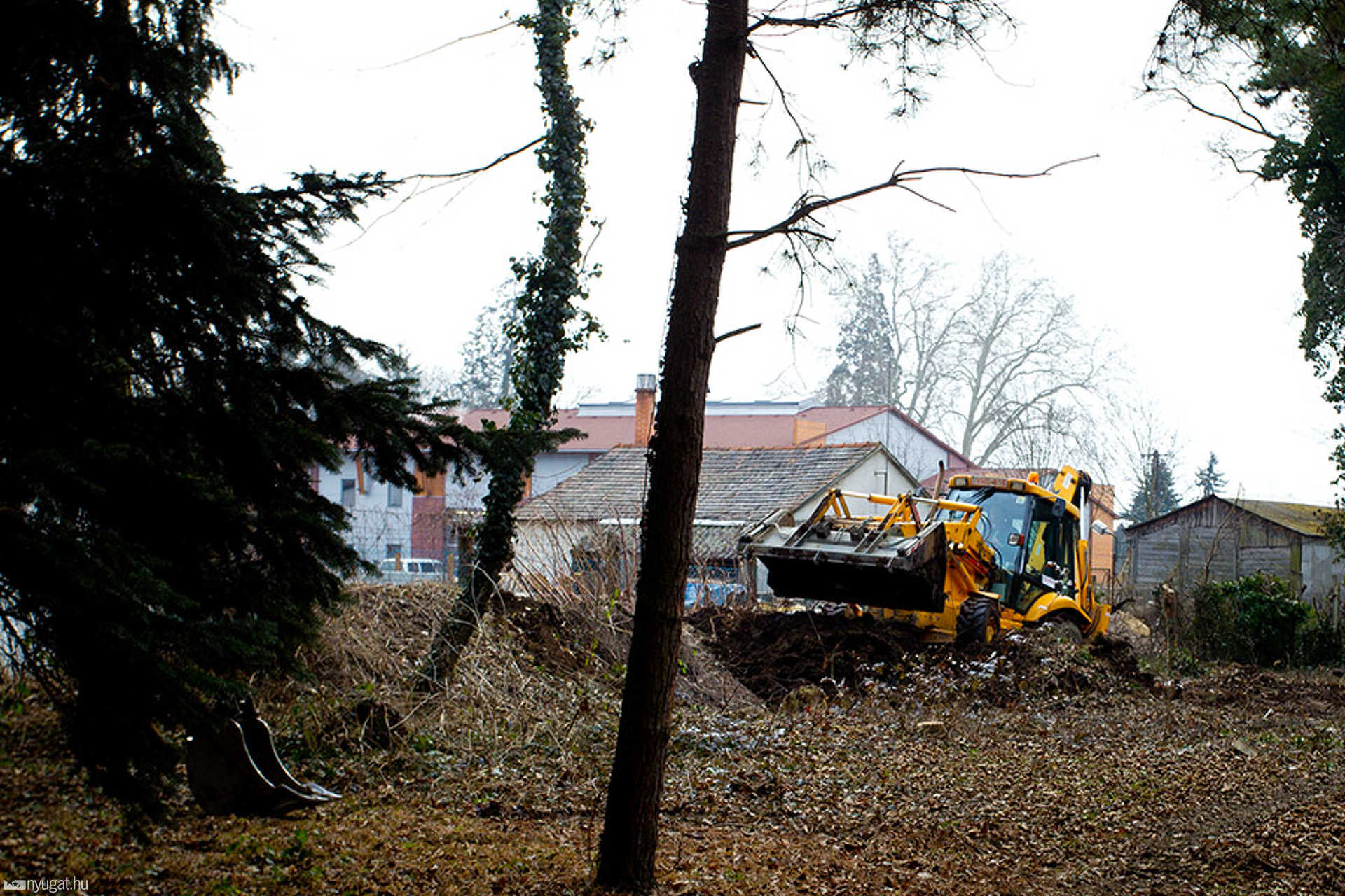 Kámoni arborétum