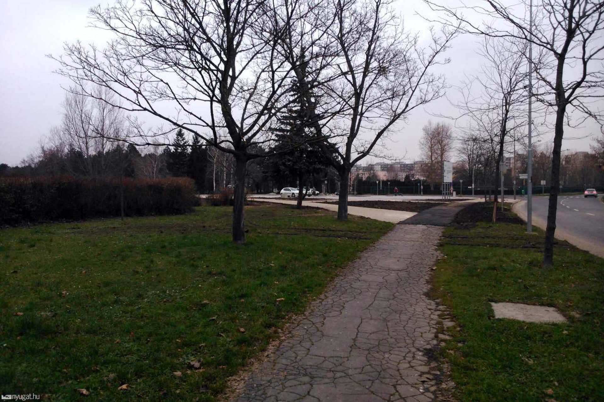 Csónakázótó