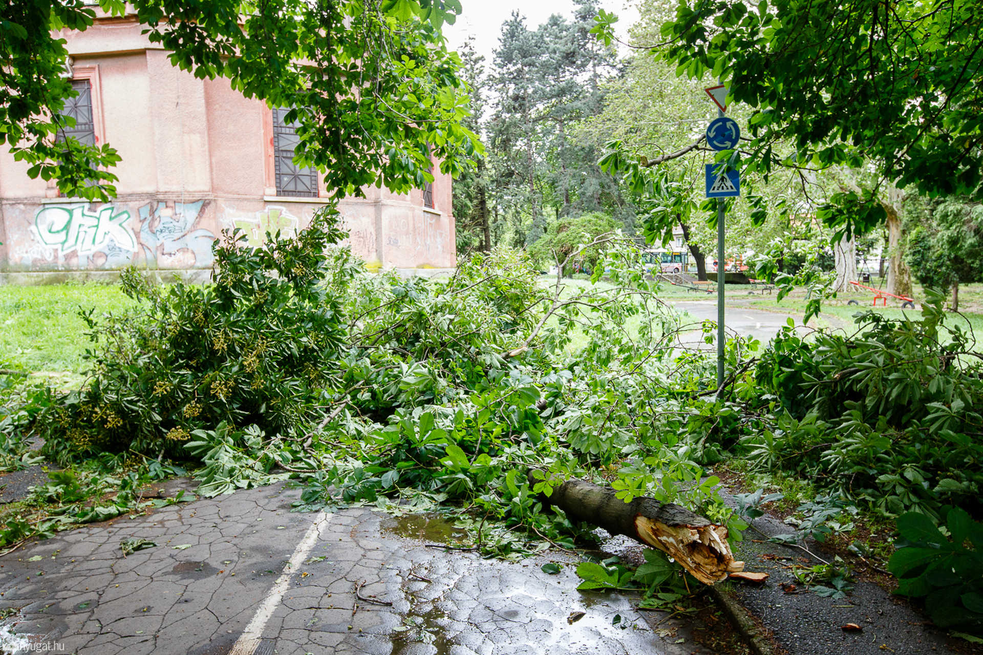 Yvette nyoma a KRESZ-parkban
