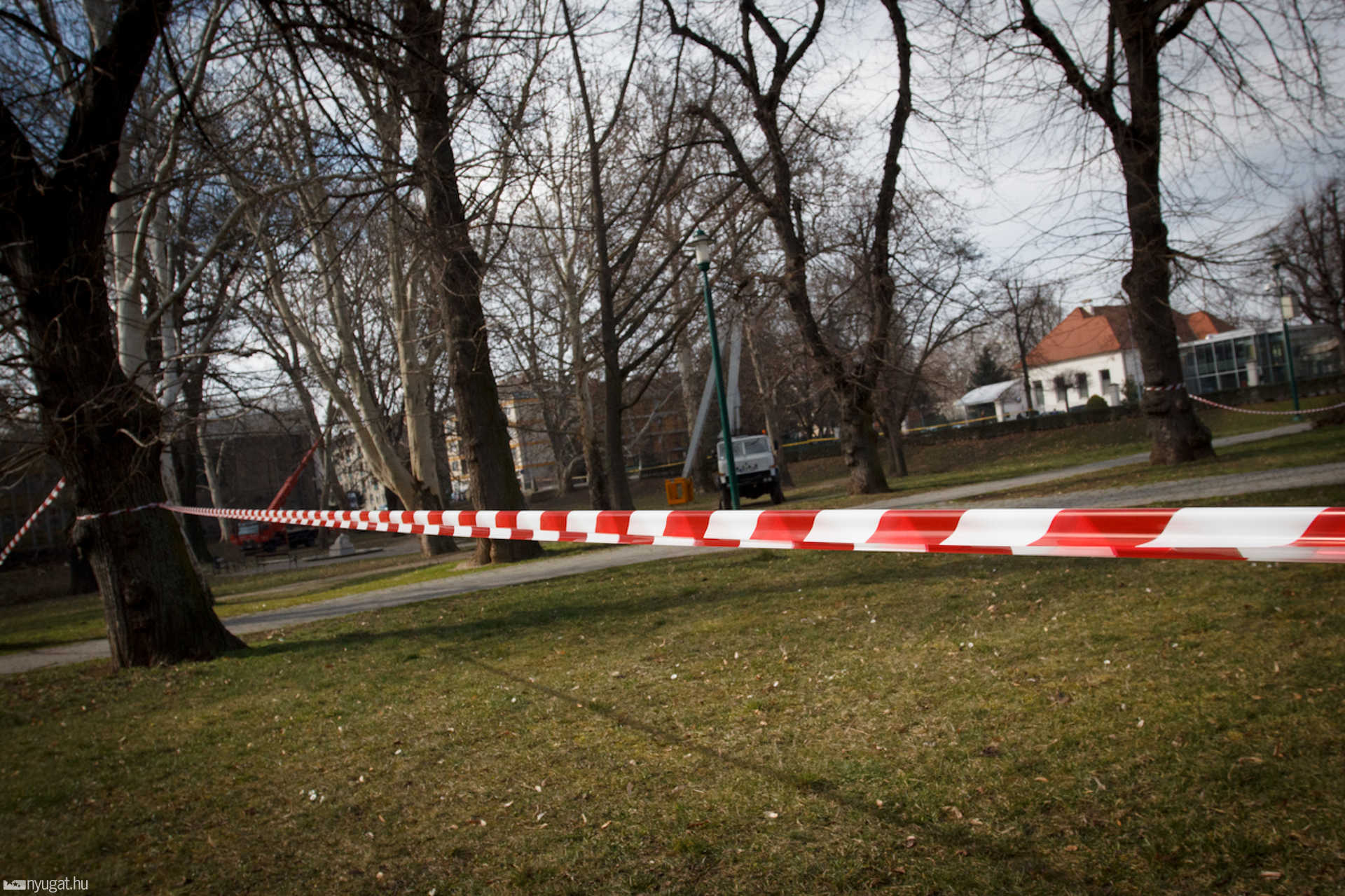 Tavaszi készülődás a Pelikán parkban