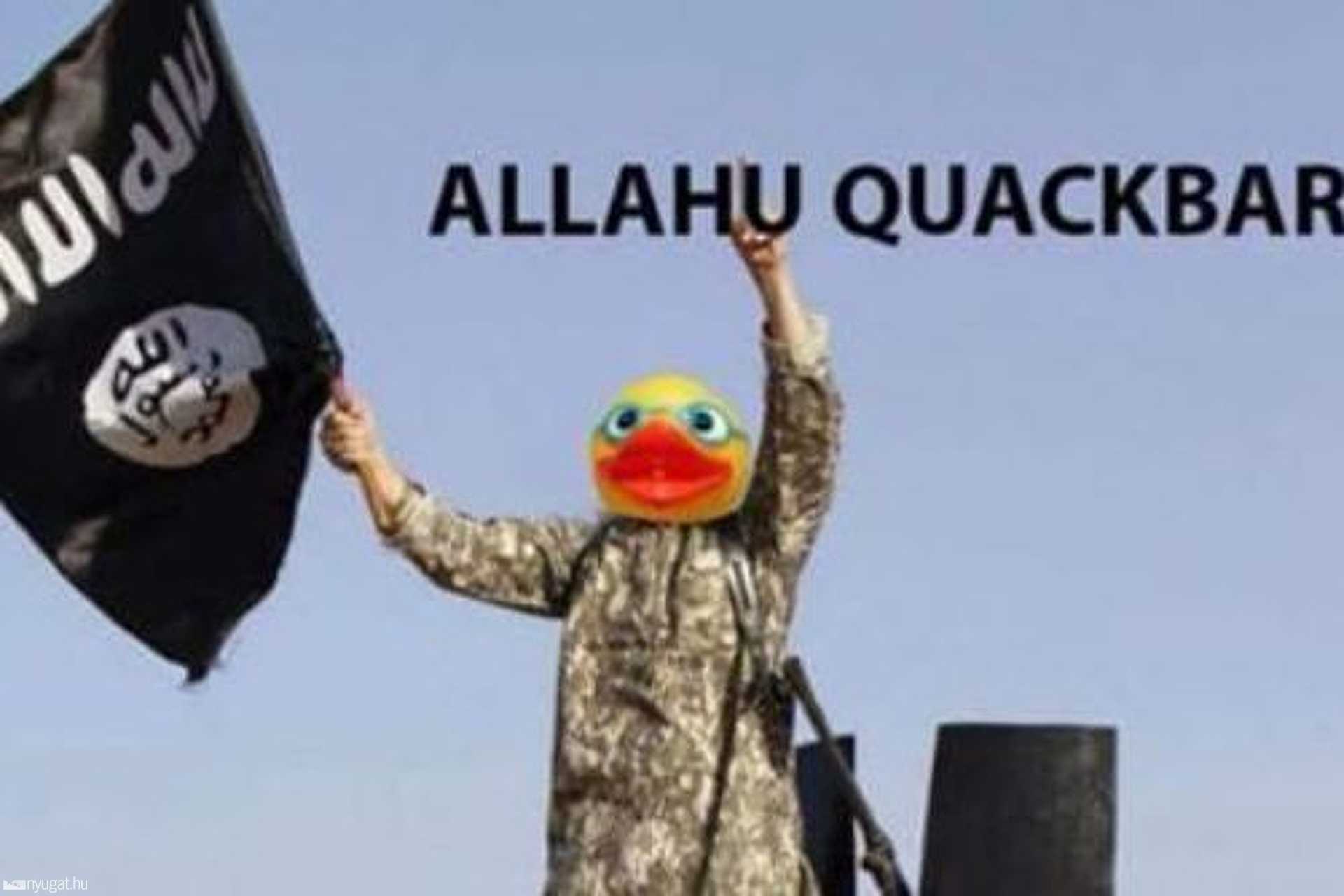 Anonymous Troll Day 