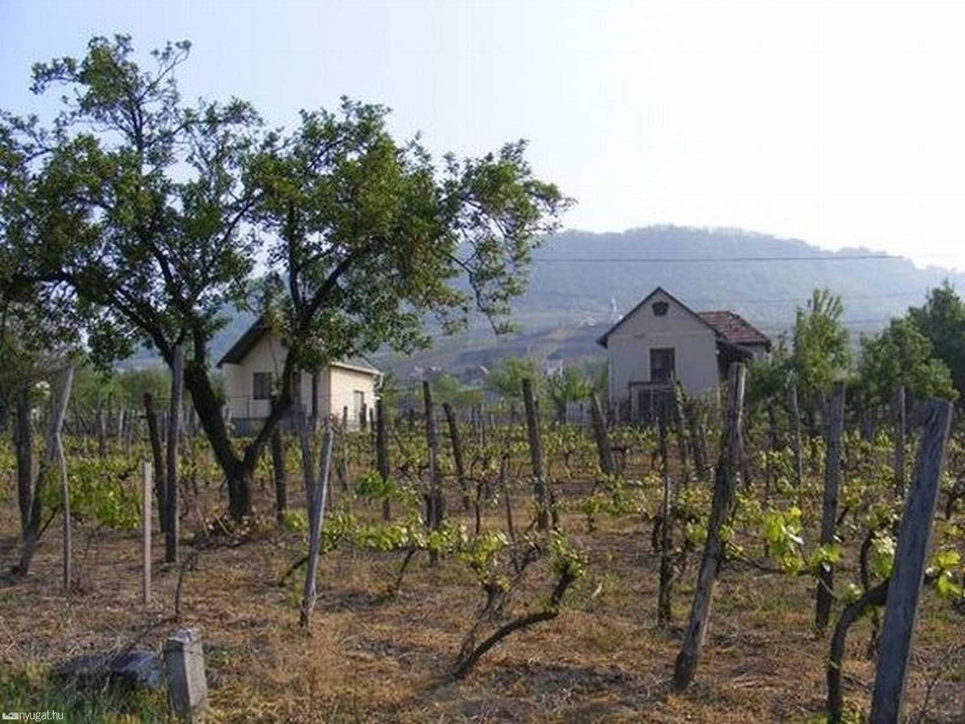 Kirándulás a Somló-hegyen