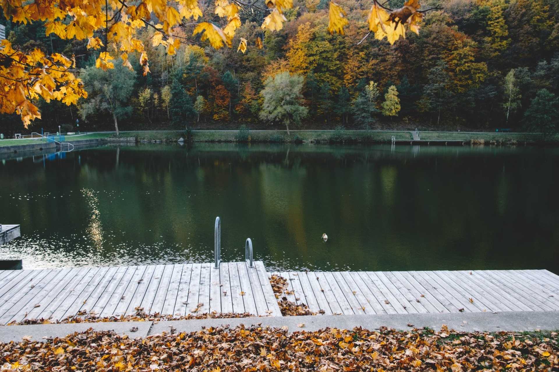 Ősz a rohonci tónál