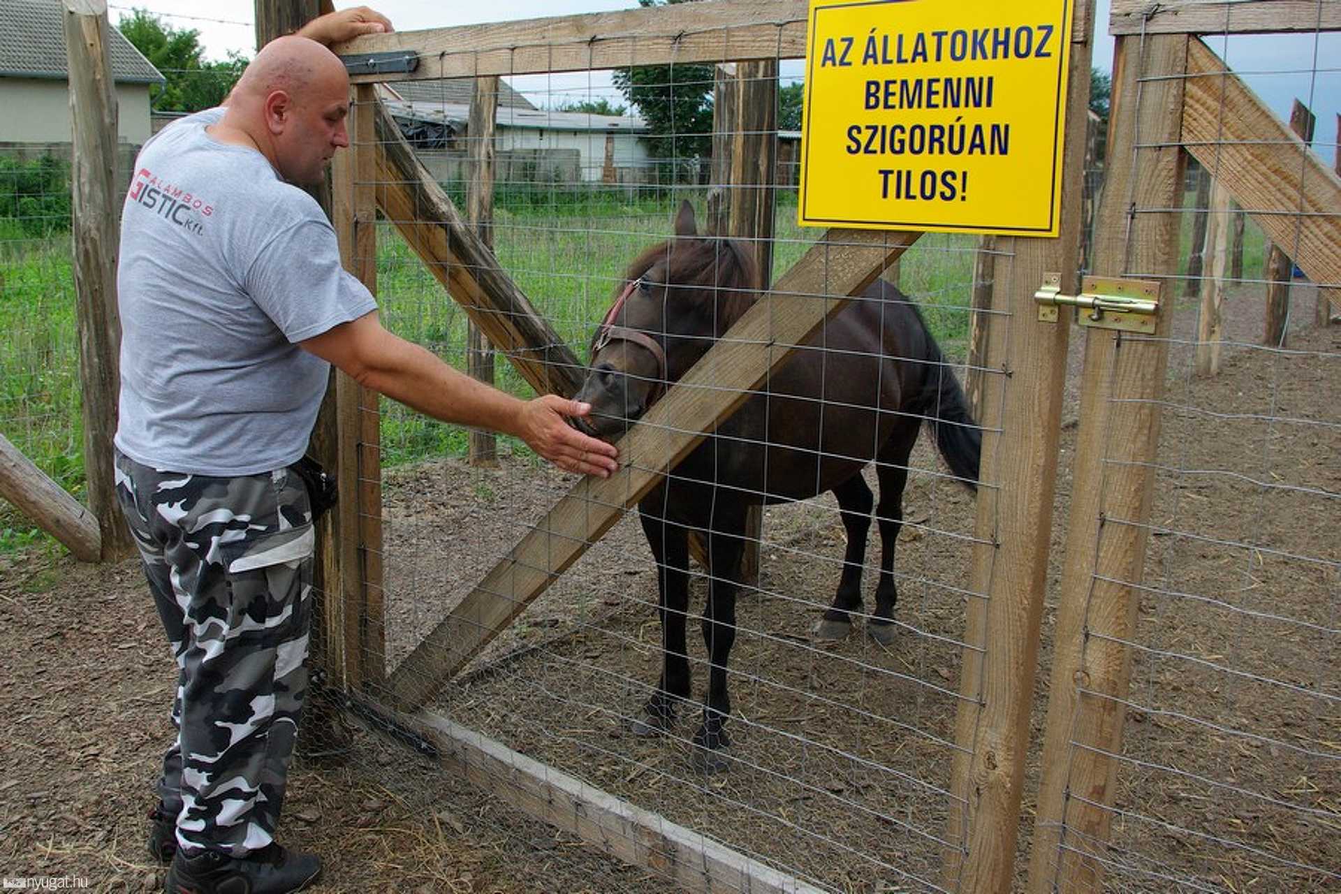 Mészáros Tibor állatkertje