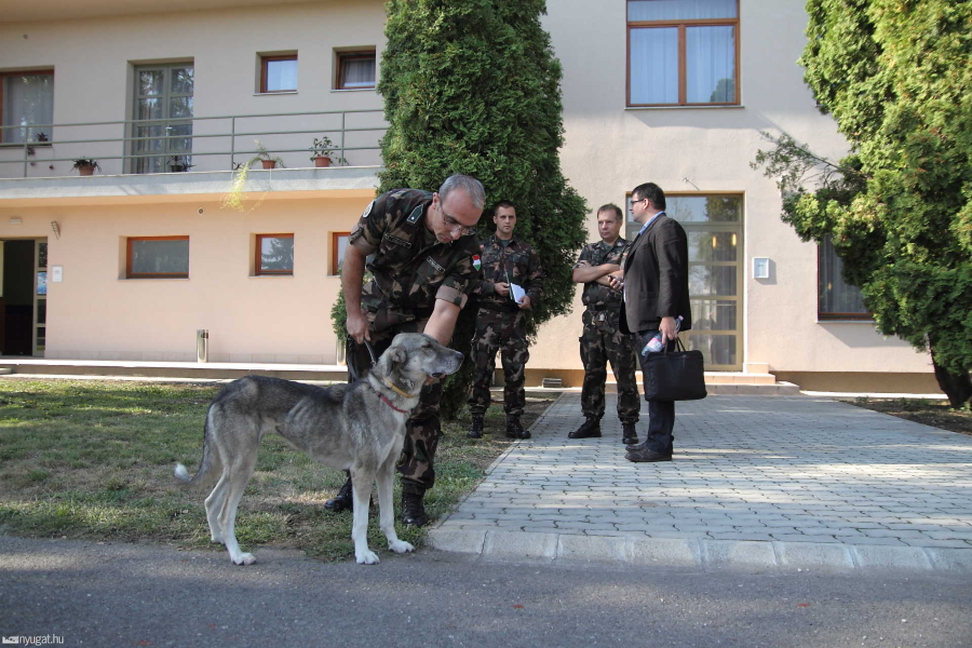 Leszerelt Mónika, az Afganisztánban szolgáló magyar katonák kutyája