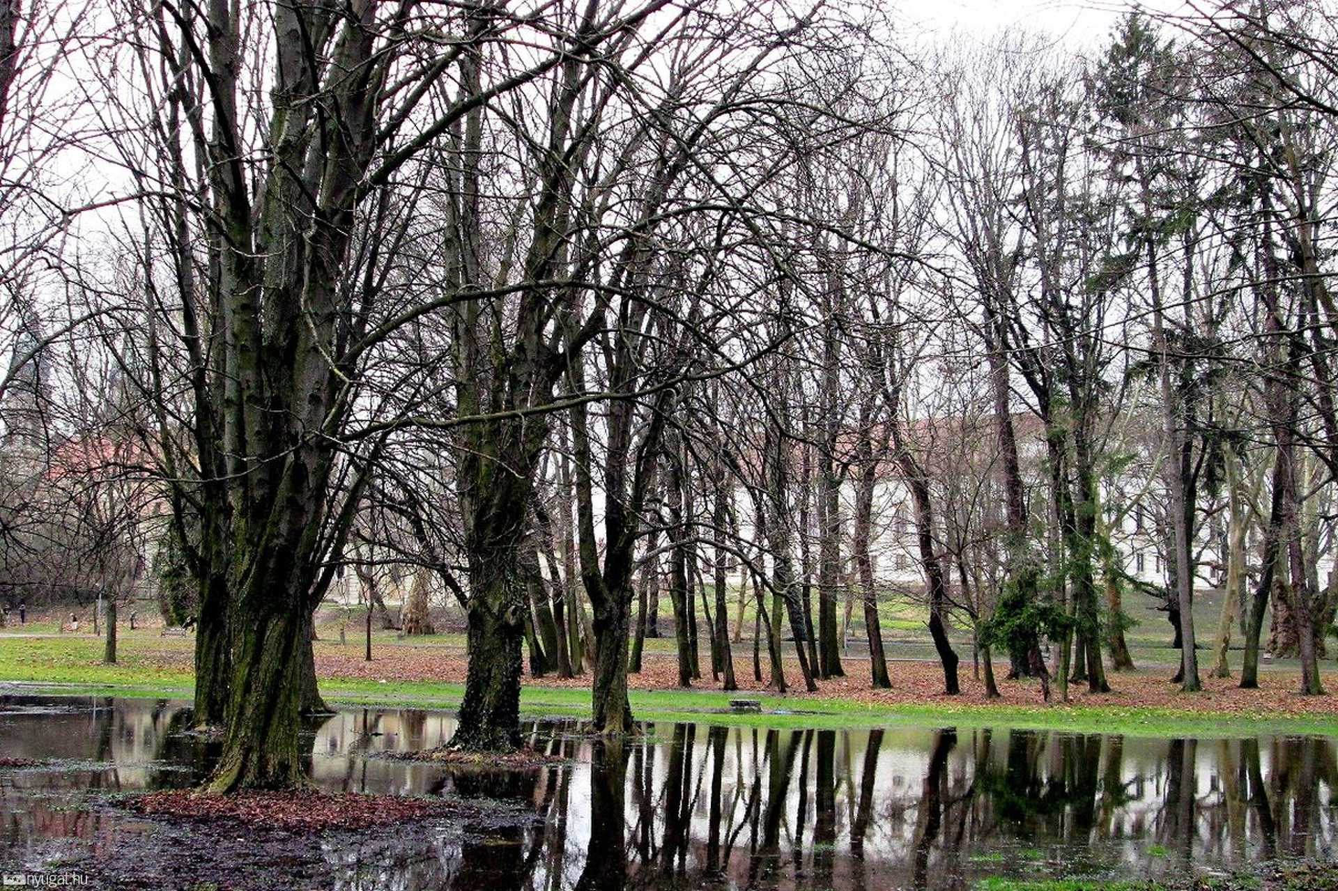 Belvíz a pápai kastélyparkban