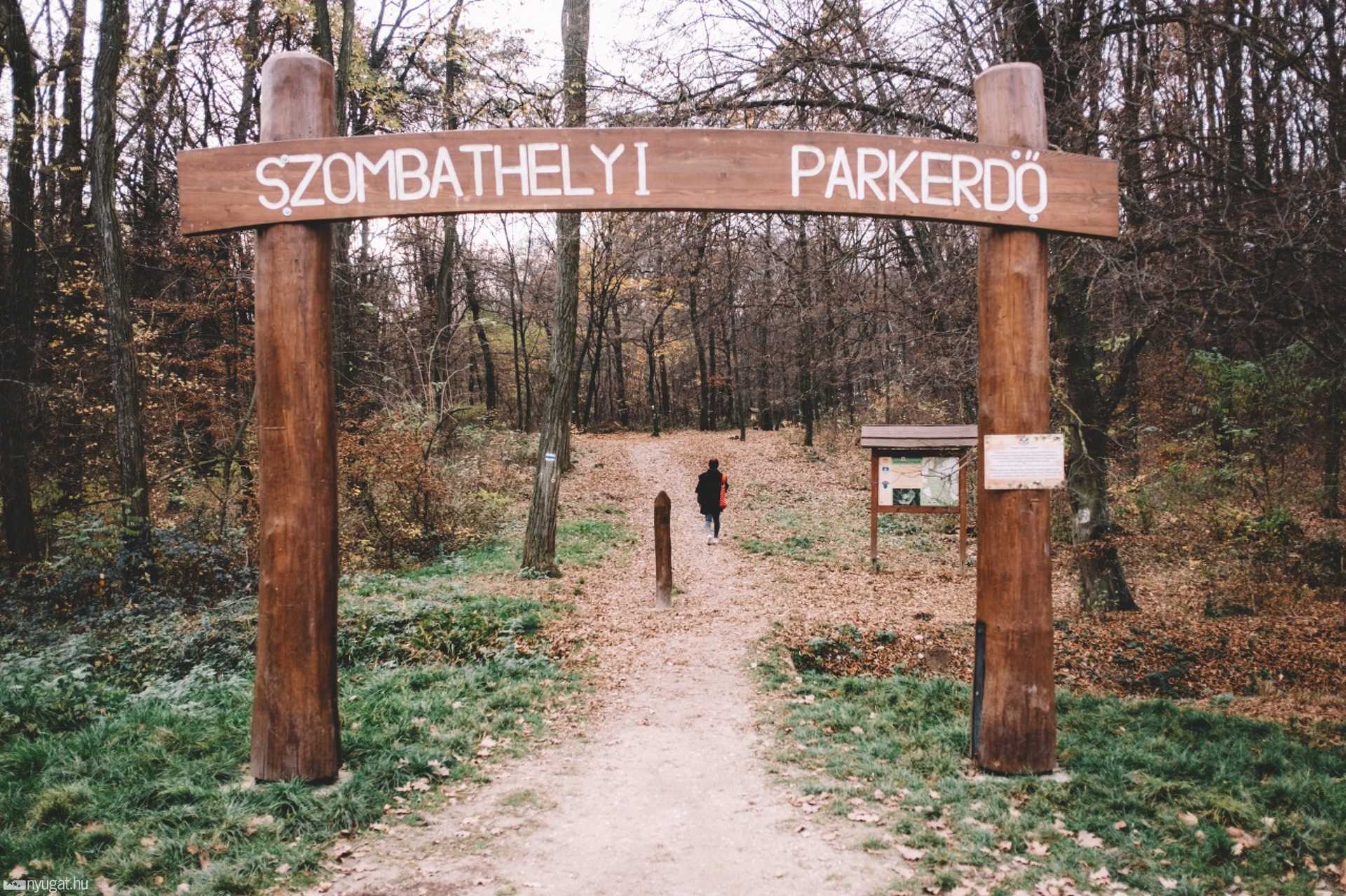 Őszi Parkerdő