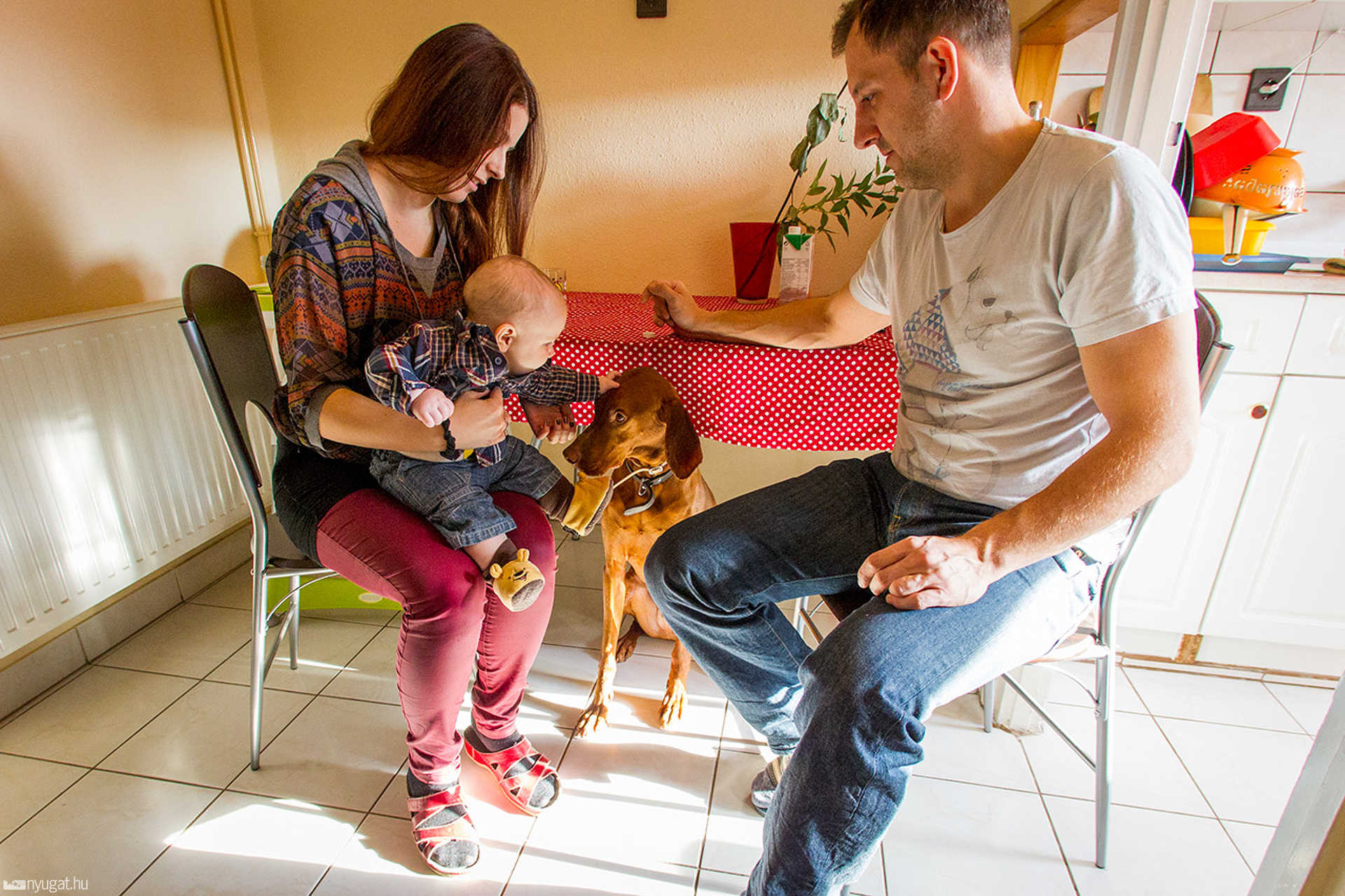 Alberti Zsófi és Endrődy Krisztián otthonában jártunk