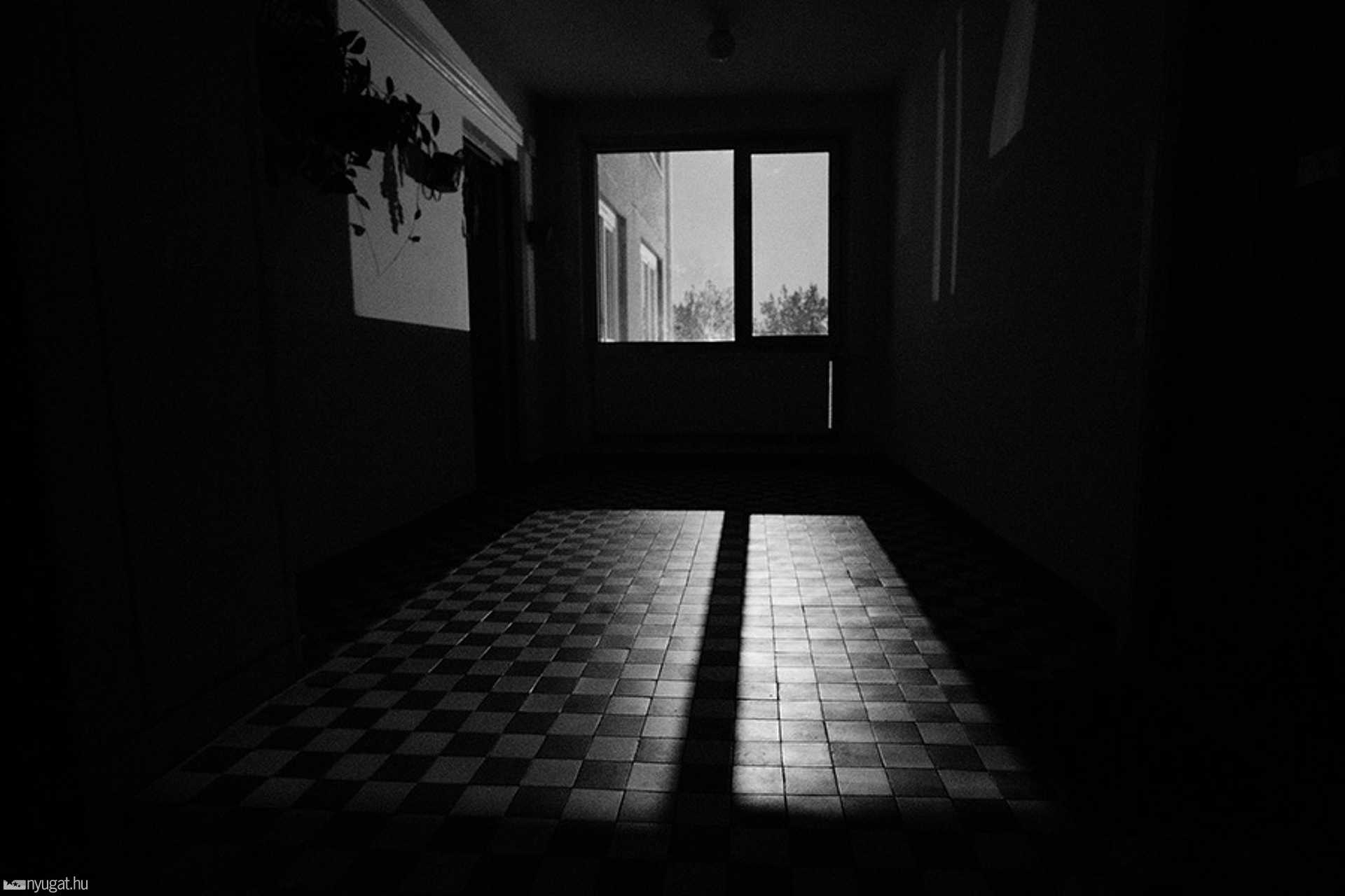 365 projekt: Bonyhádi Zoltán
