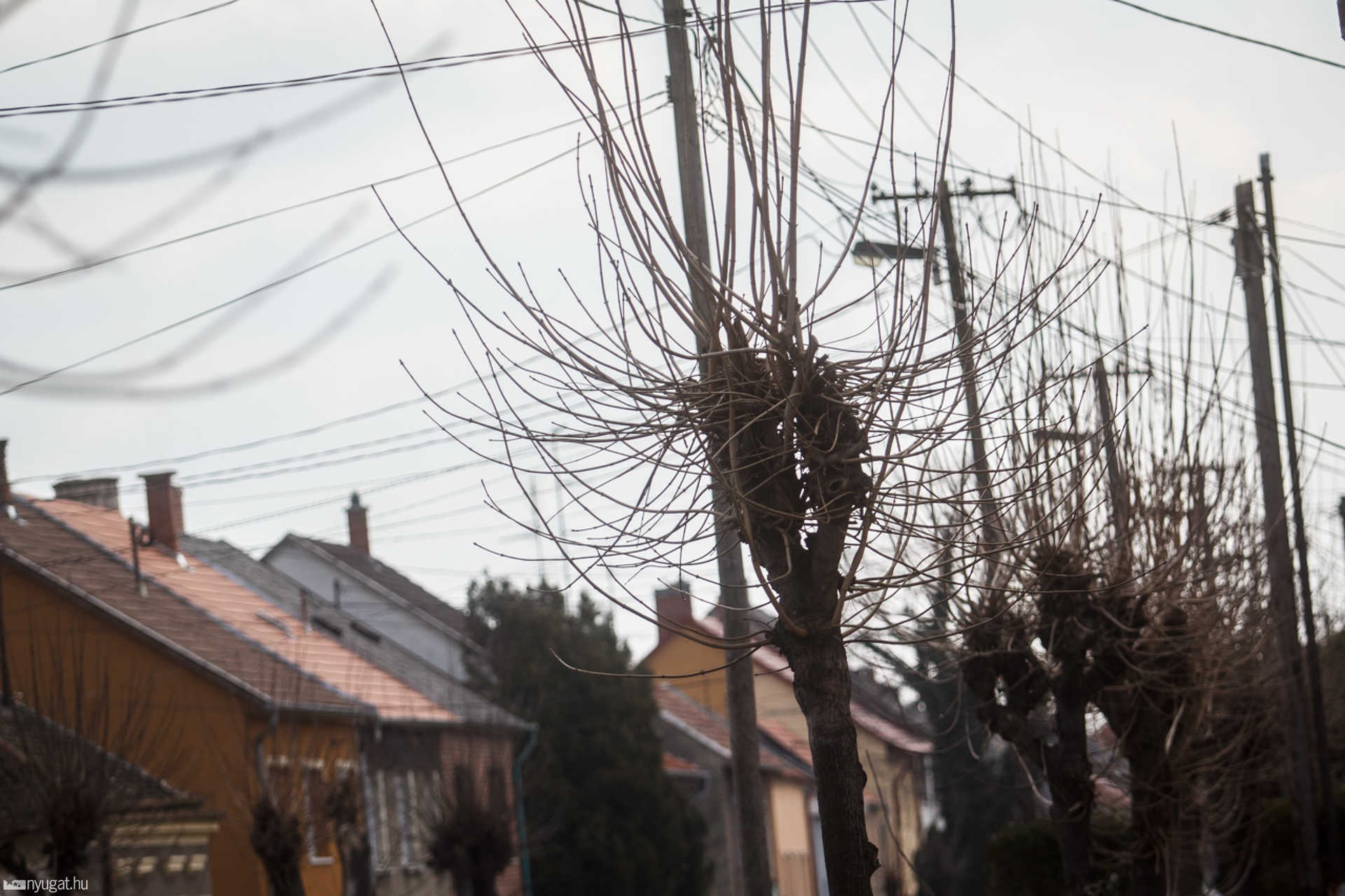 Sajtótájékoztató a Nagy Lajos király utcában