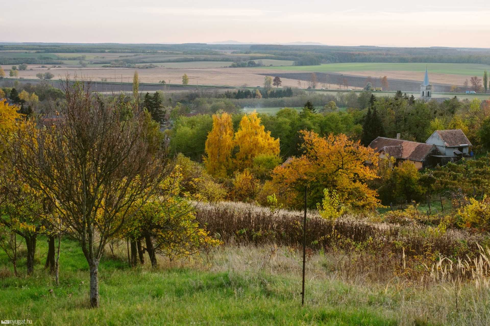 Ősz a kissomlyói hegyen
