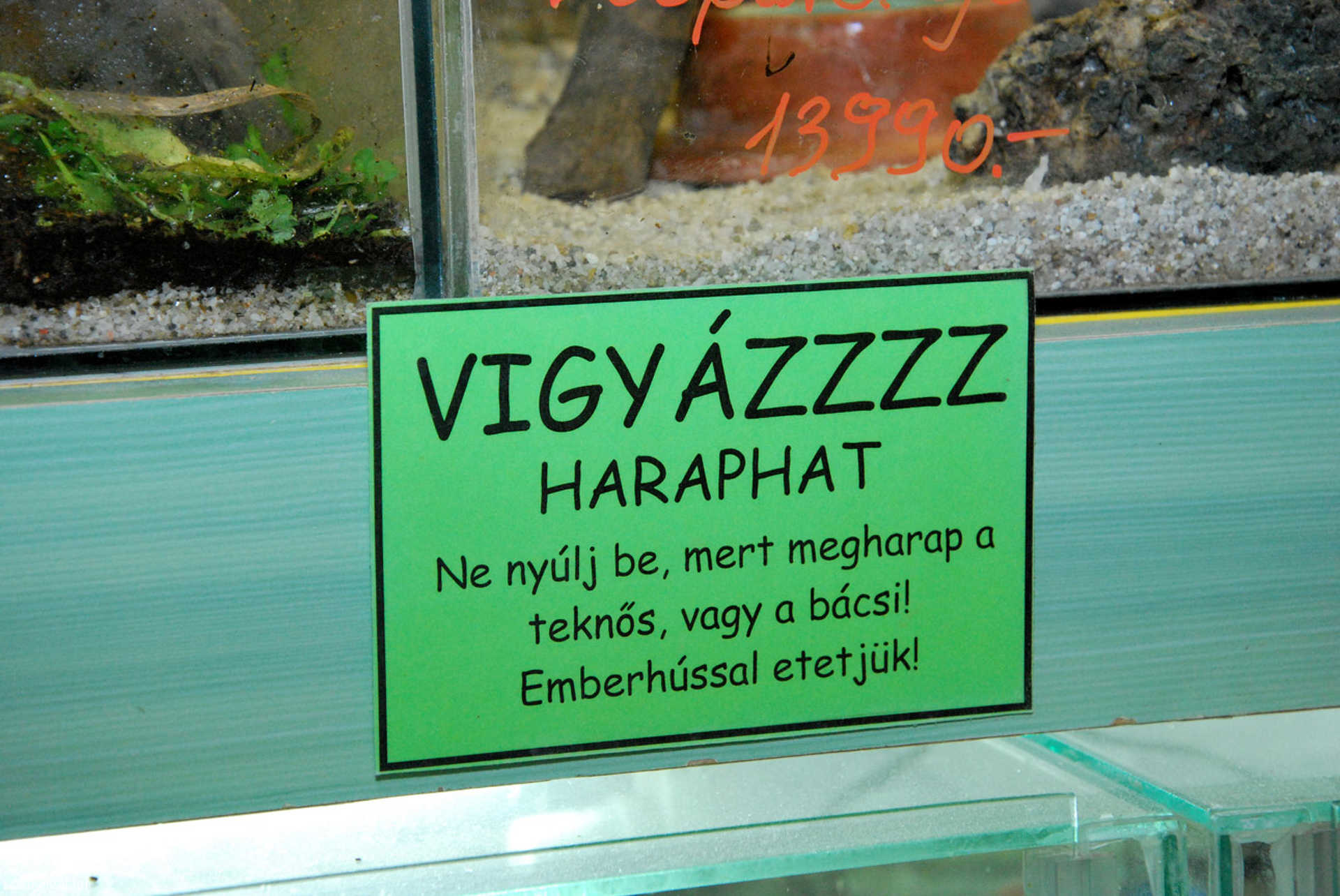 Kedvencek