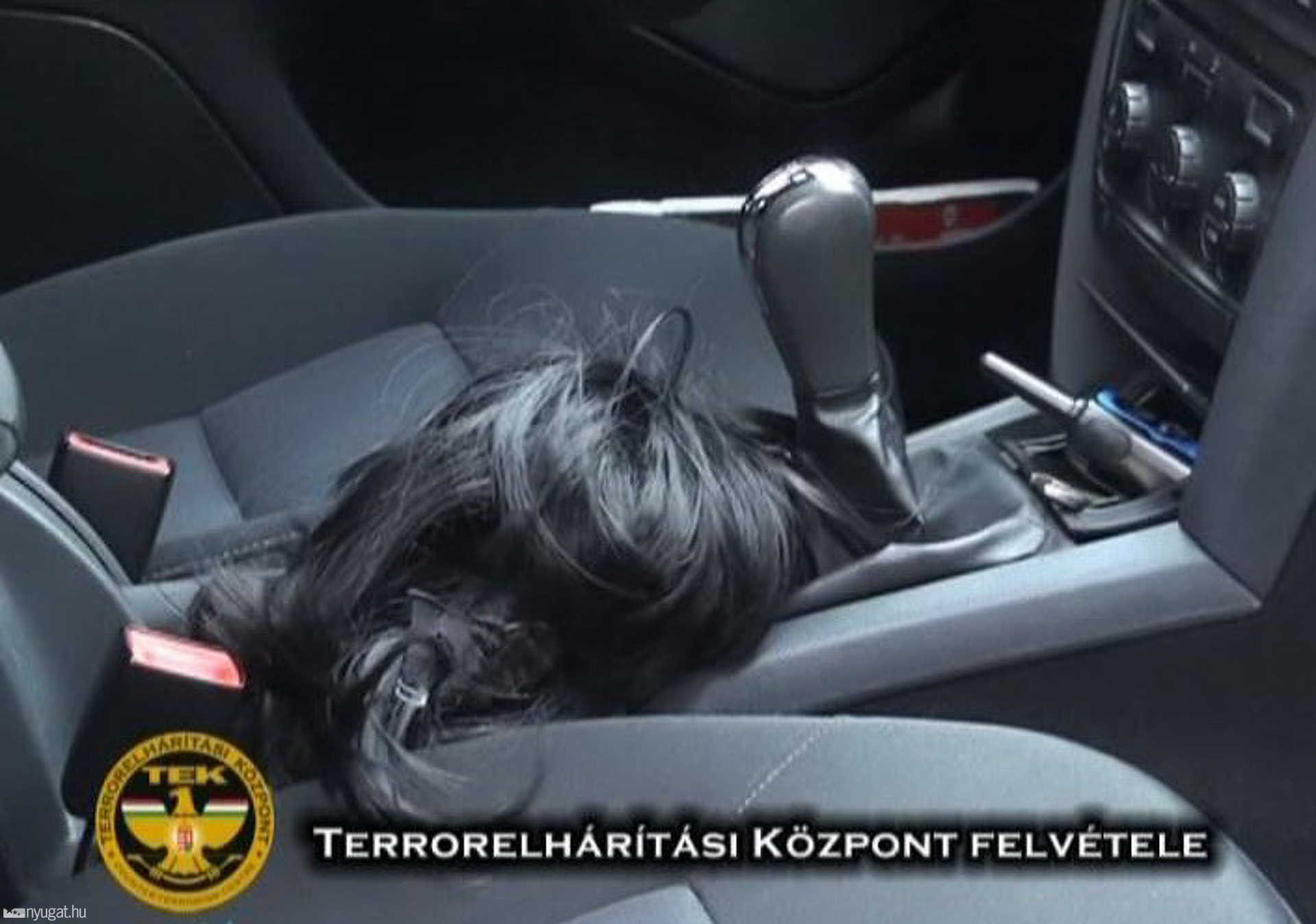 Rabláshoz előkészített paróka