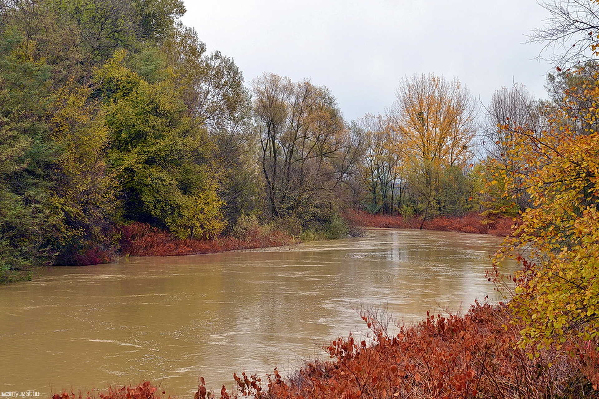 Áradó patakok és folyók Vas megyében - 2012.november 6.