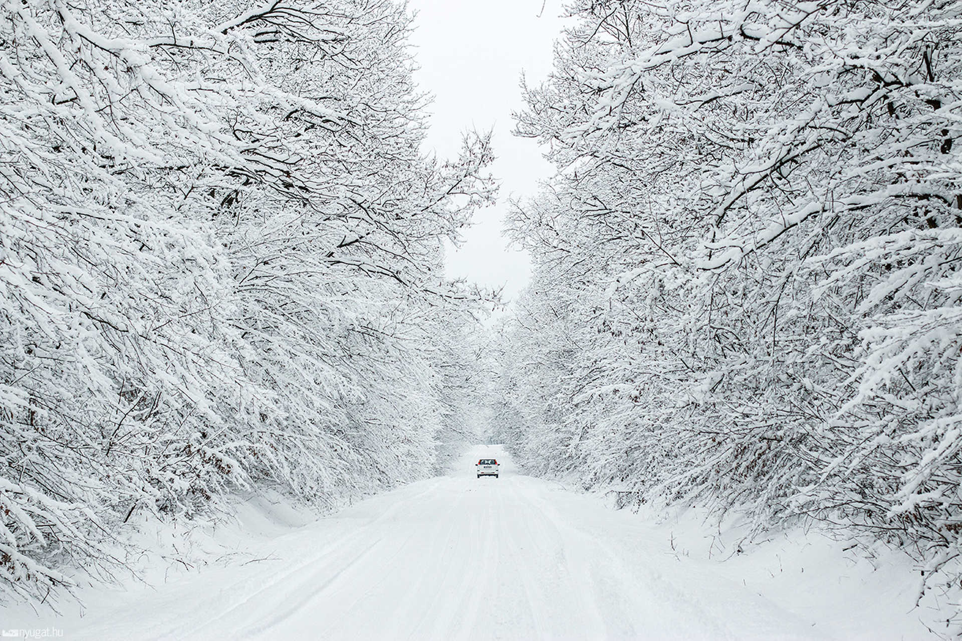 Havazik Szombathelyen - 2015.01.29.