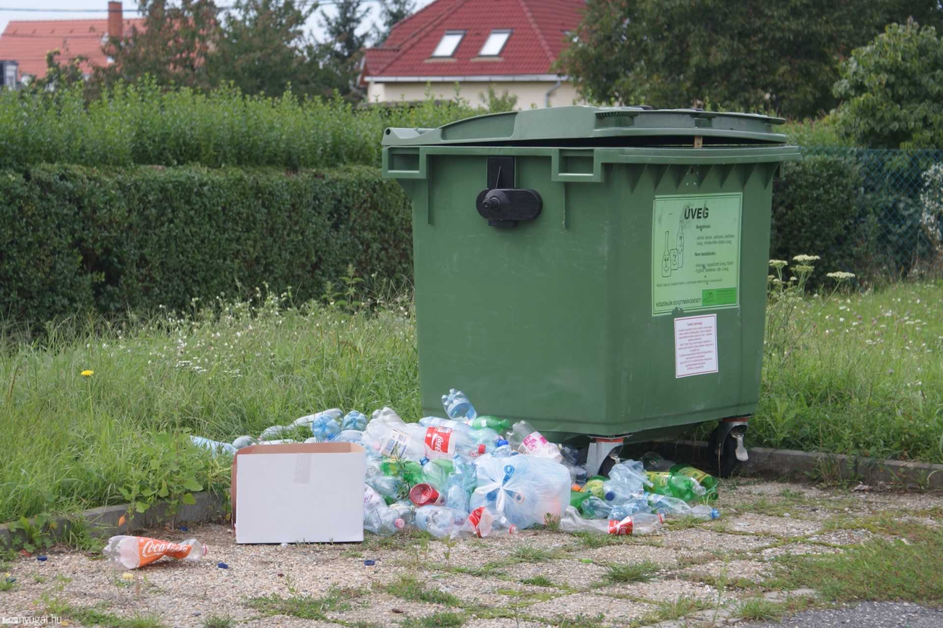 Petőfi telep, Halastó utca