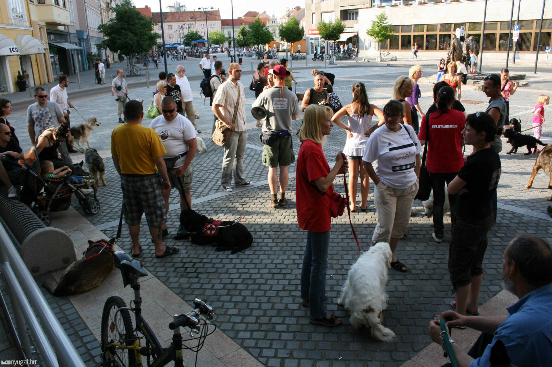 Kutyás demostráció