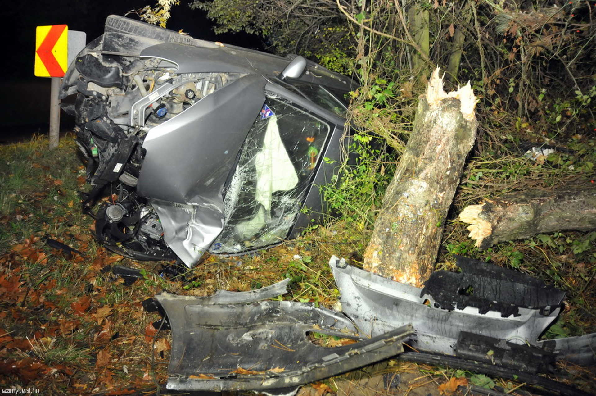 Fát döntött az útról letérő Peugeot 307 Kőszegnél