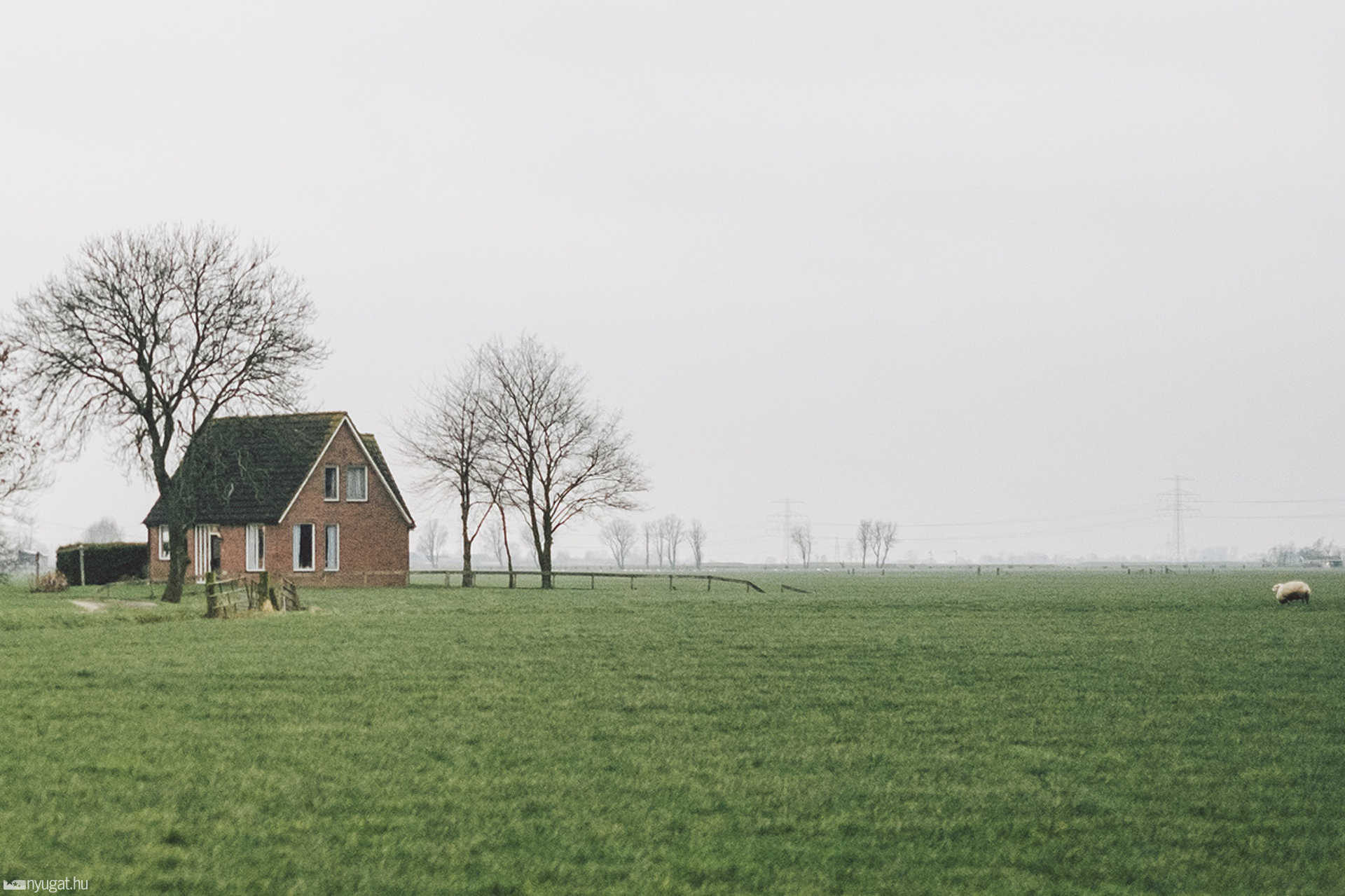 Hollandia