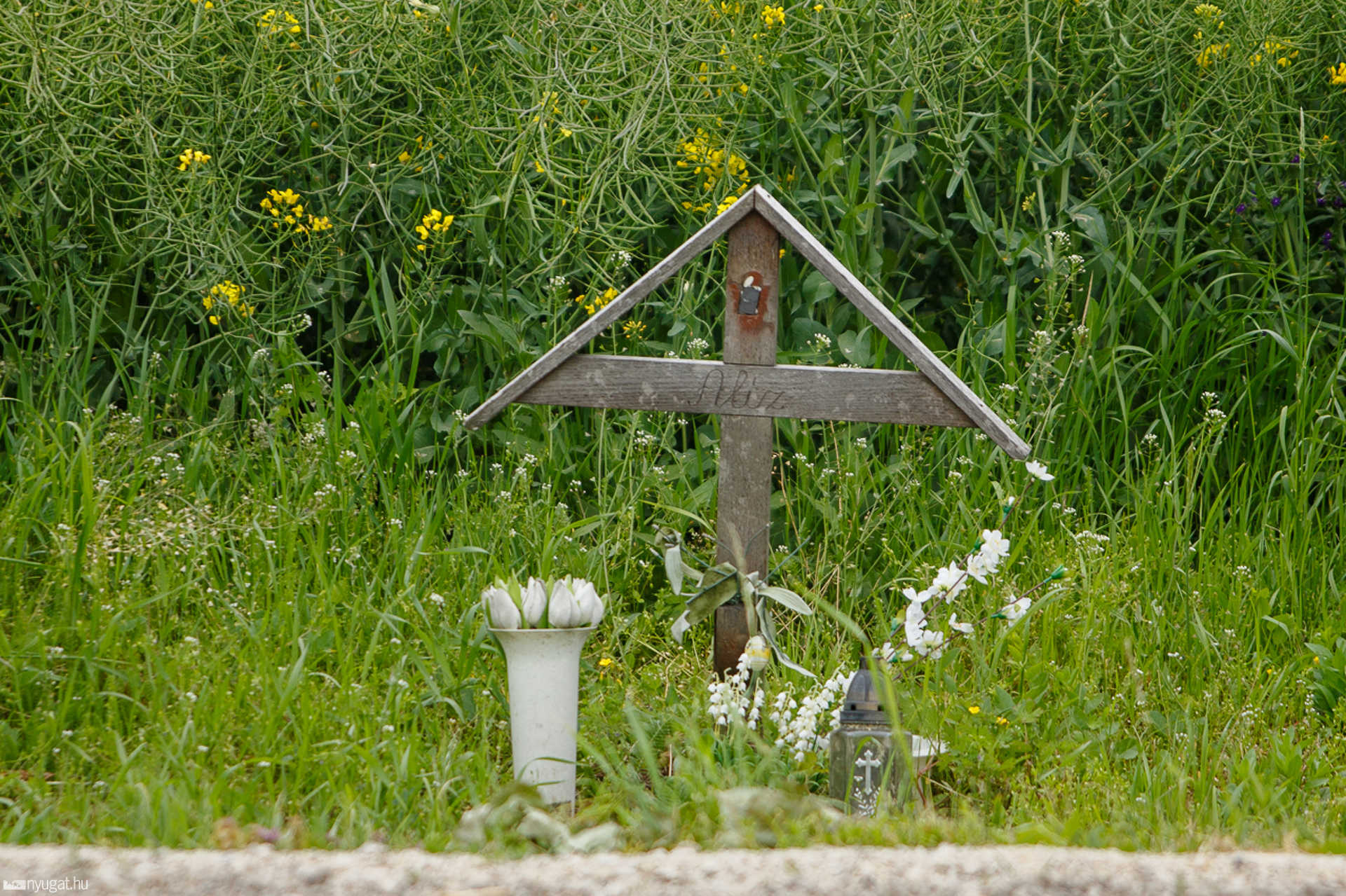 Petőfi-telep, 86-os főút