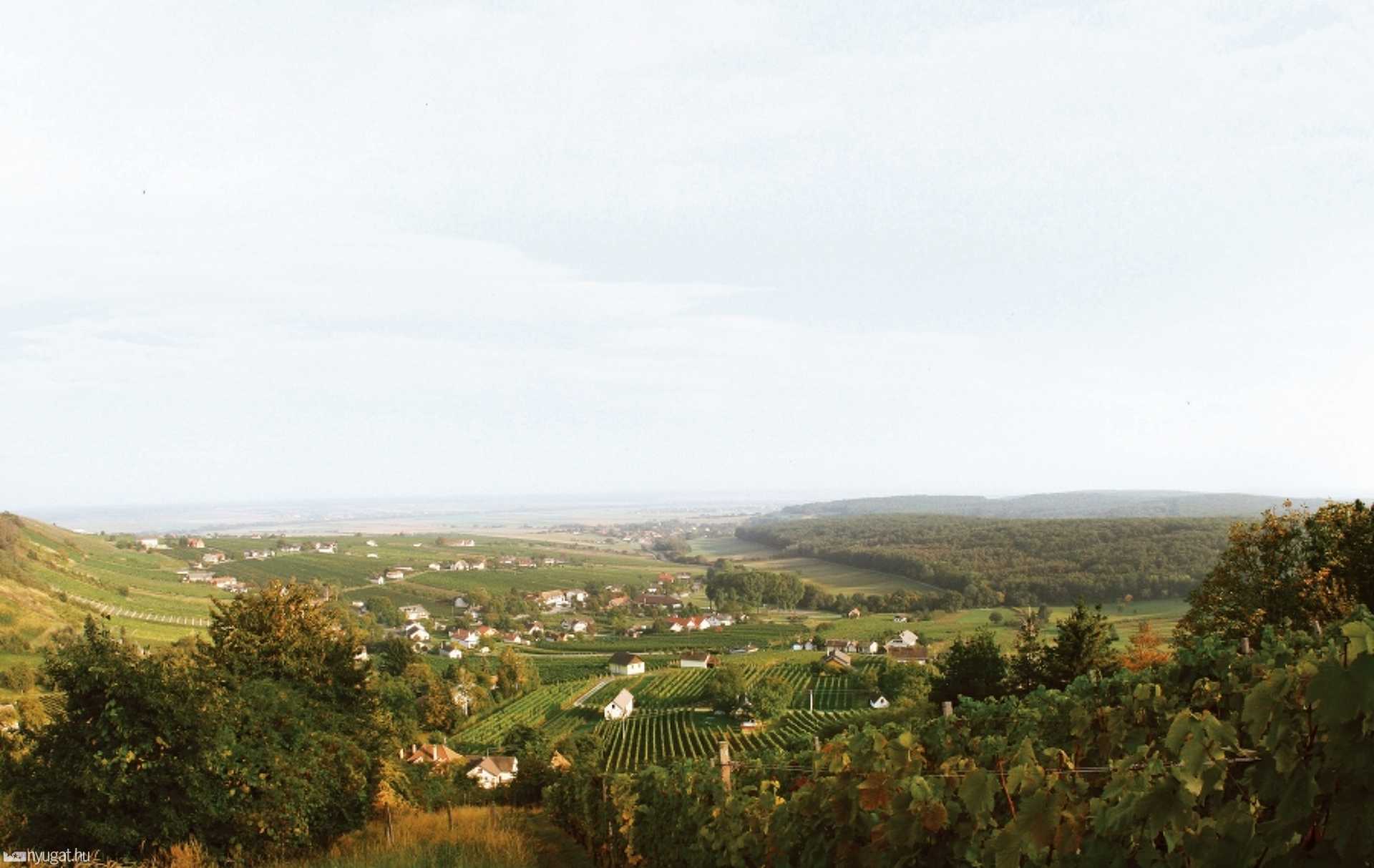 Weinidylle Bortavasz