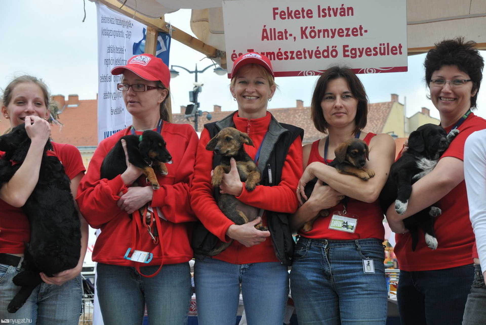 Civilek kavalkádja a Fő téren - Bemutatkozás és az adó 1 százaléka a cél