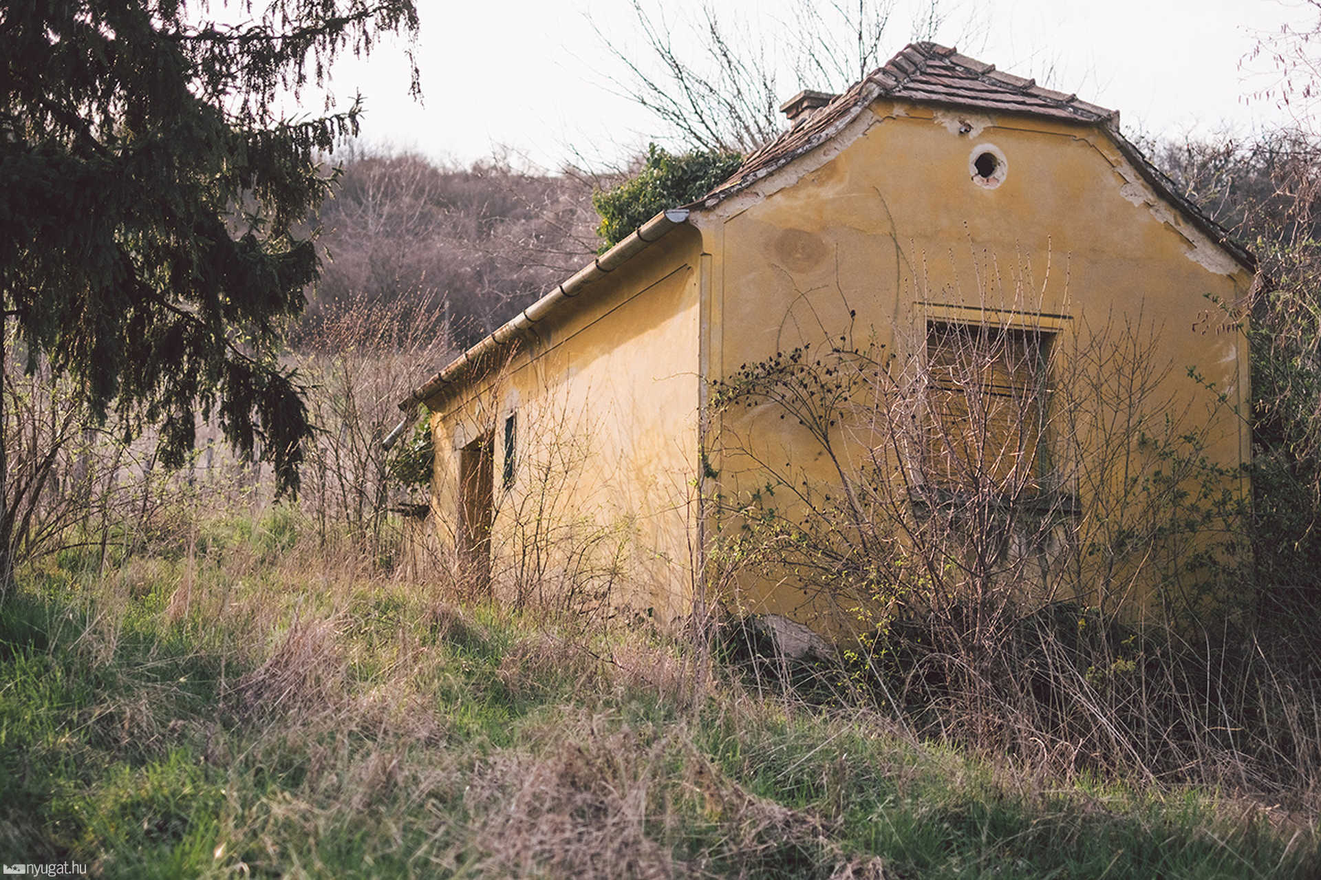 Kissomlyó hegy - tavasz