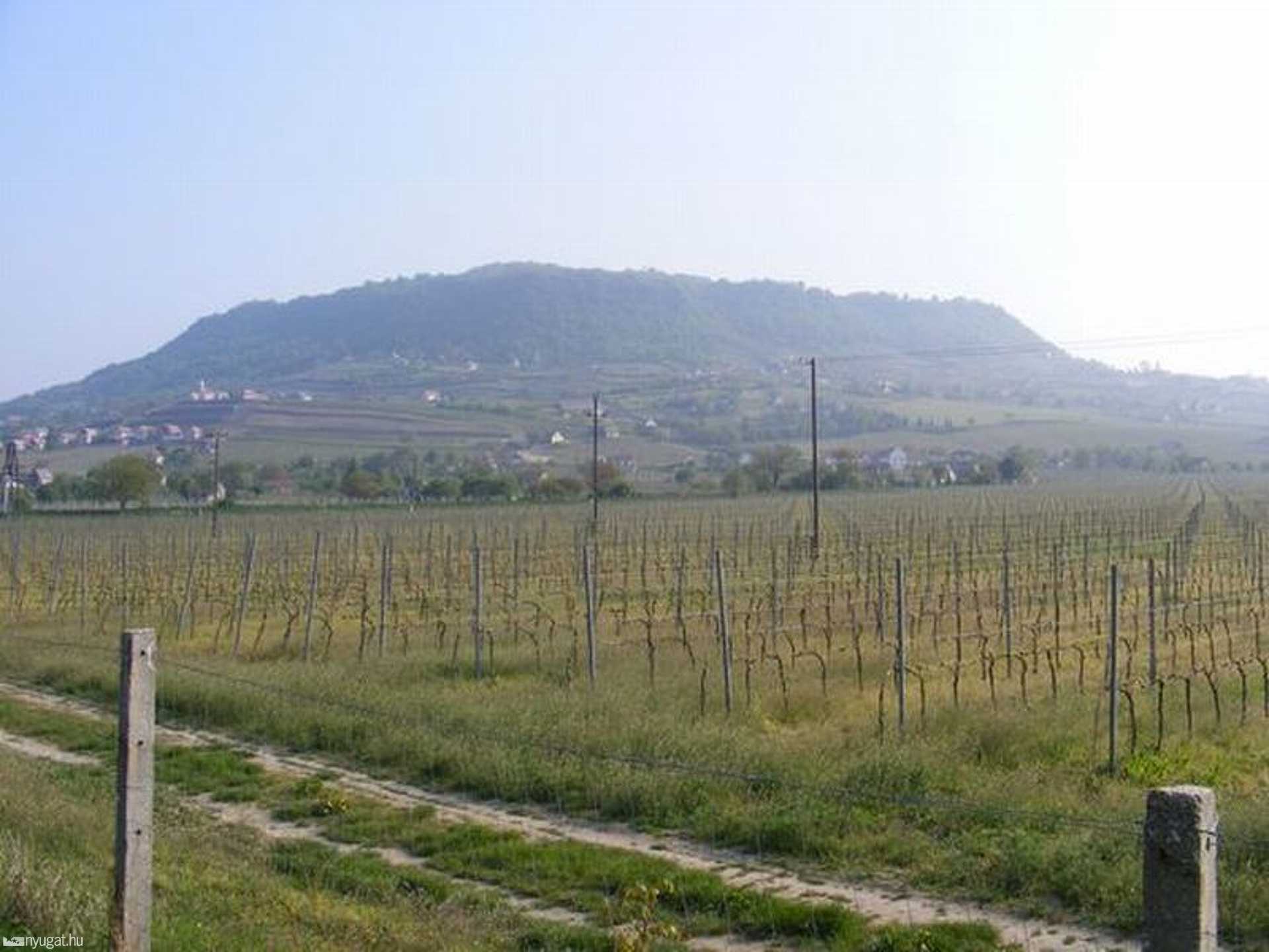 Kirándulás a Somló-hegyen