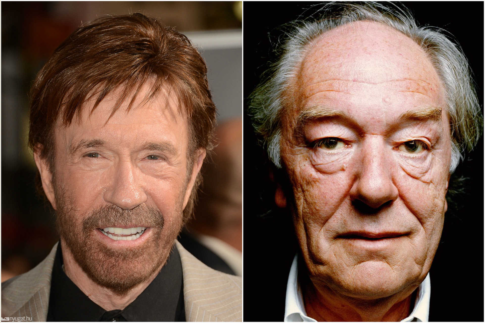 Chuck Norris és Michael Gambon