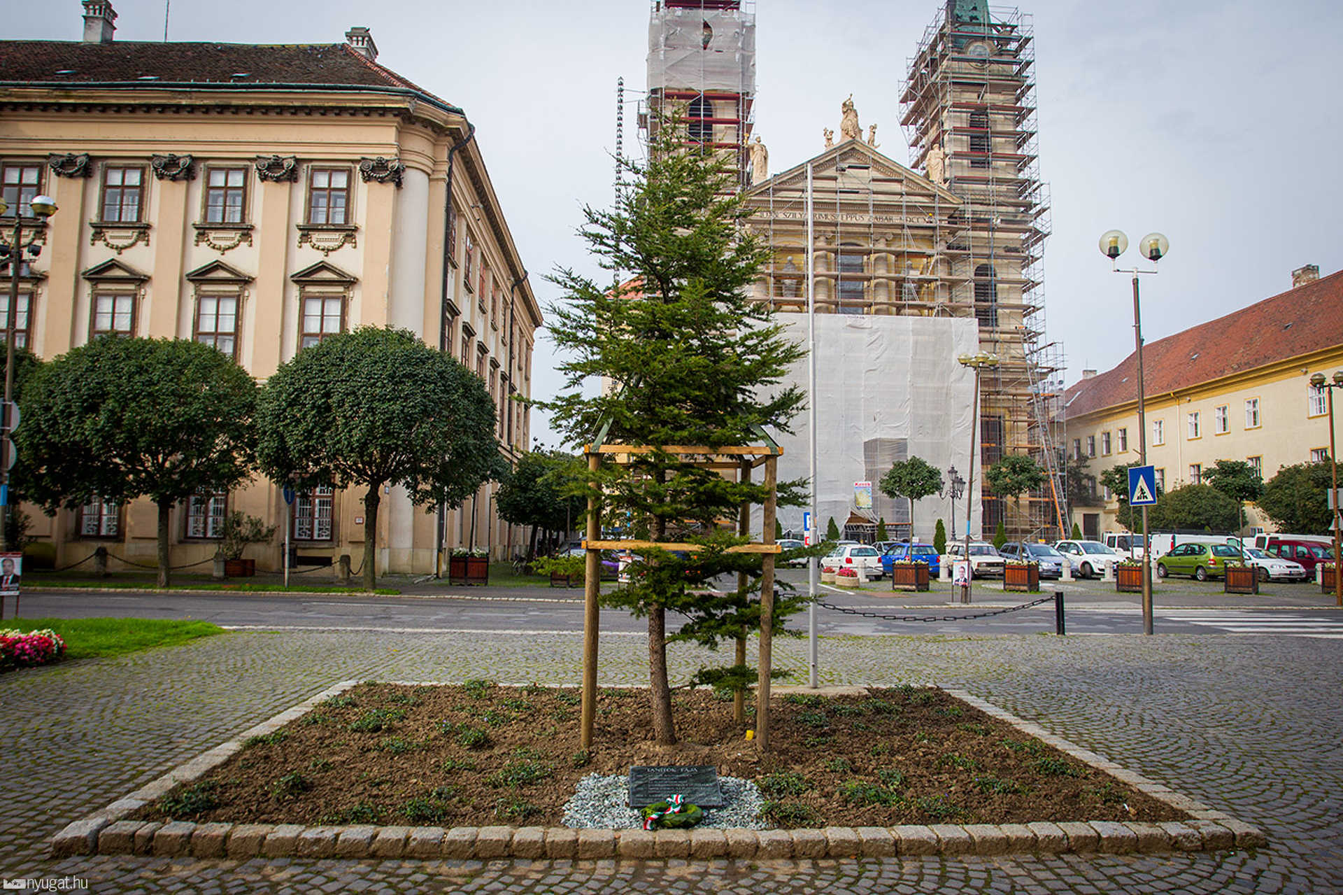 Tanítók fája