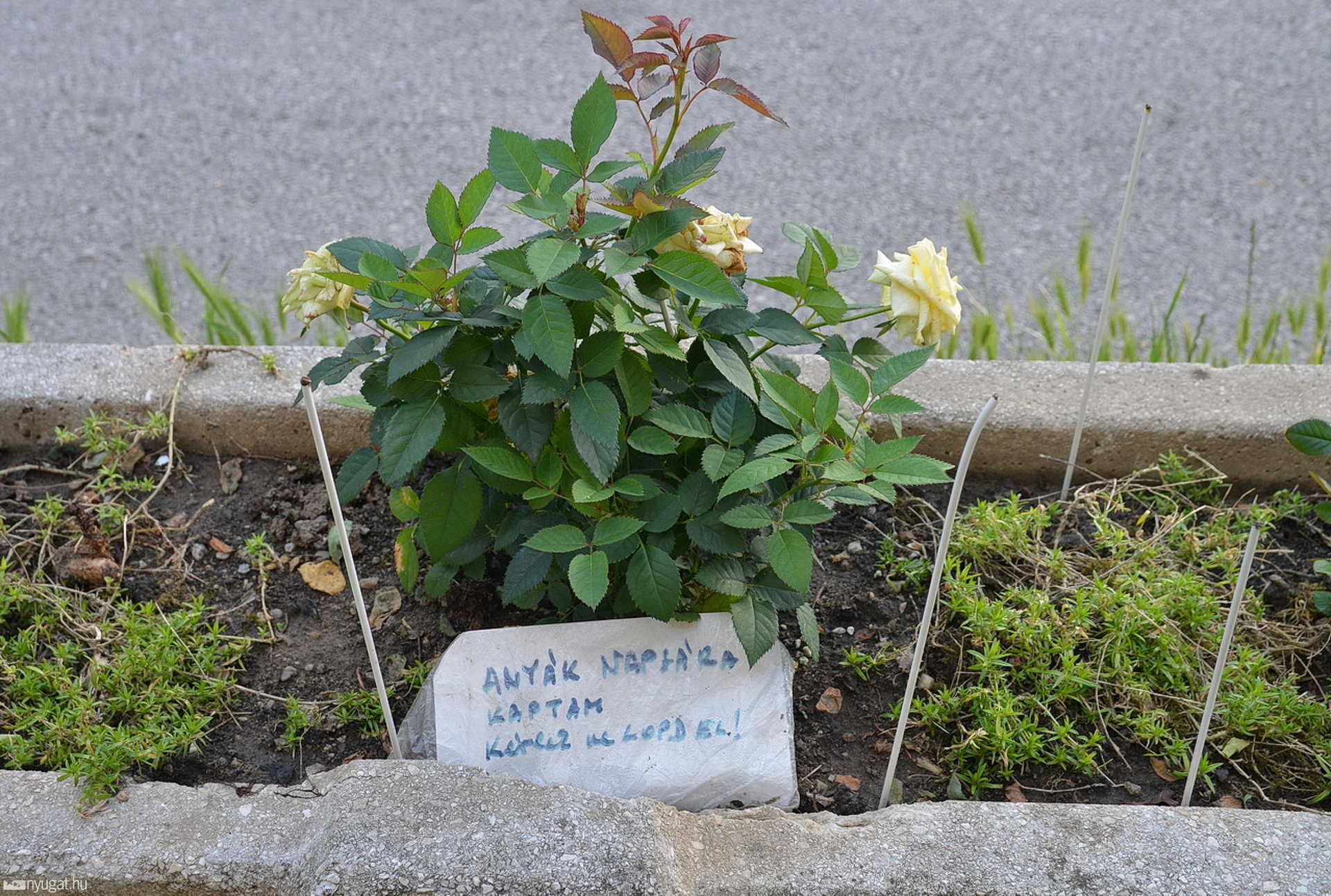 A tolvaj lelkére próbál hatni a tábla