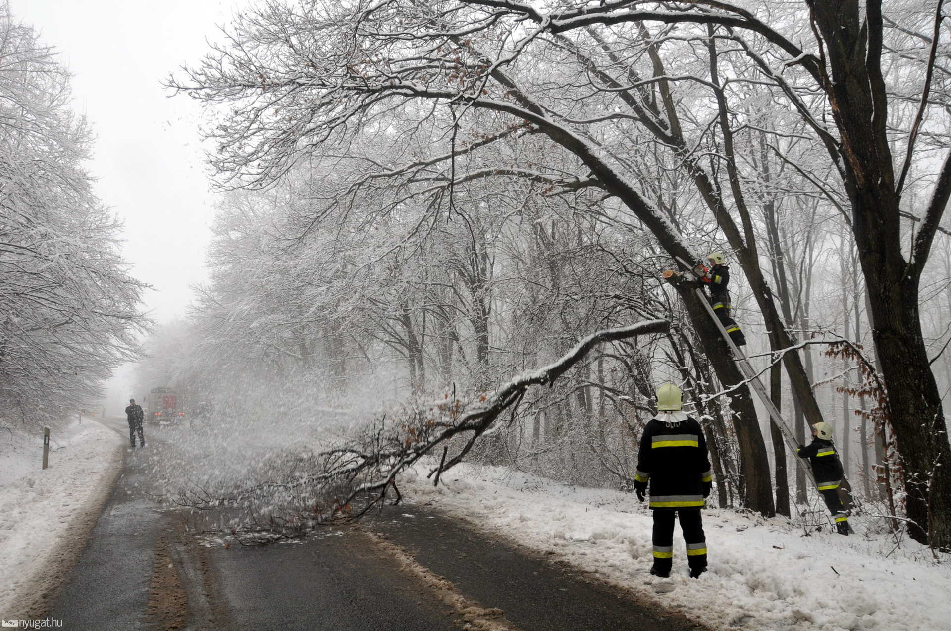 Út fölé hajló veszélyes ág levágása Őriszentpéter mellett
