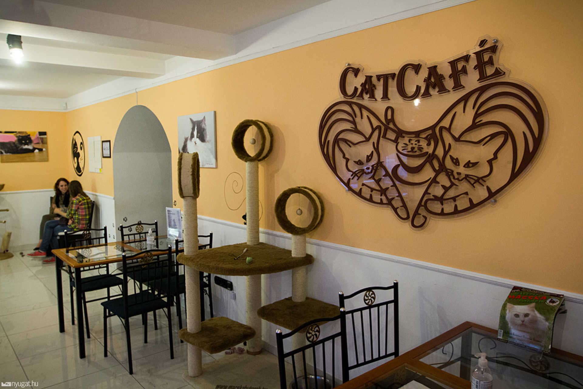 Cat Café Budapest