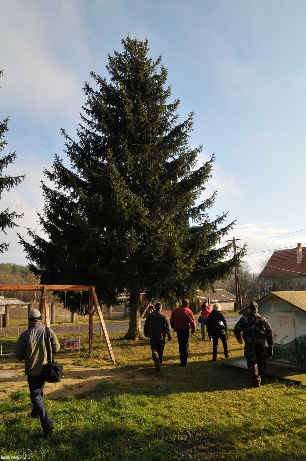 Az ovisok miatt nem erre a fára esett a választás